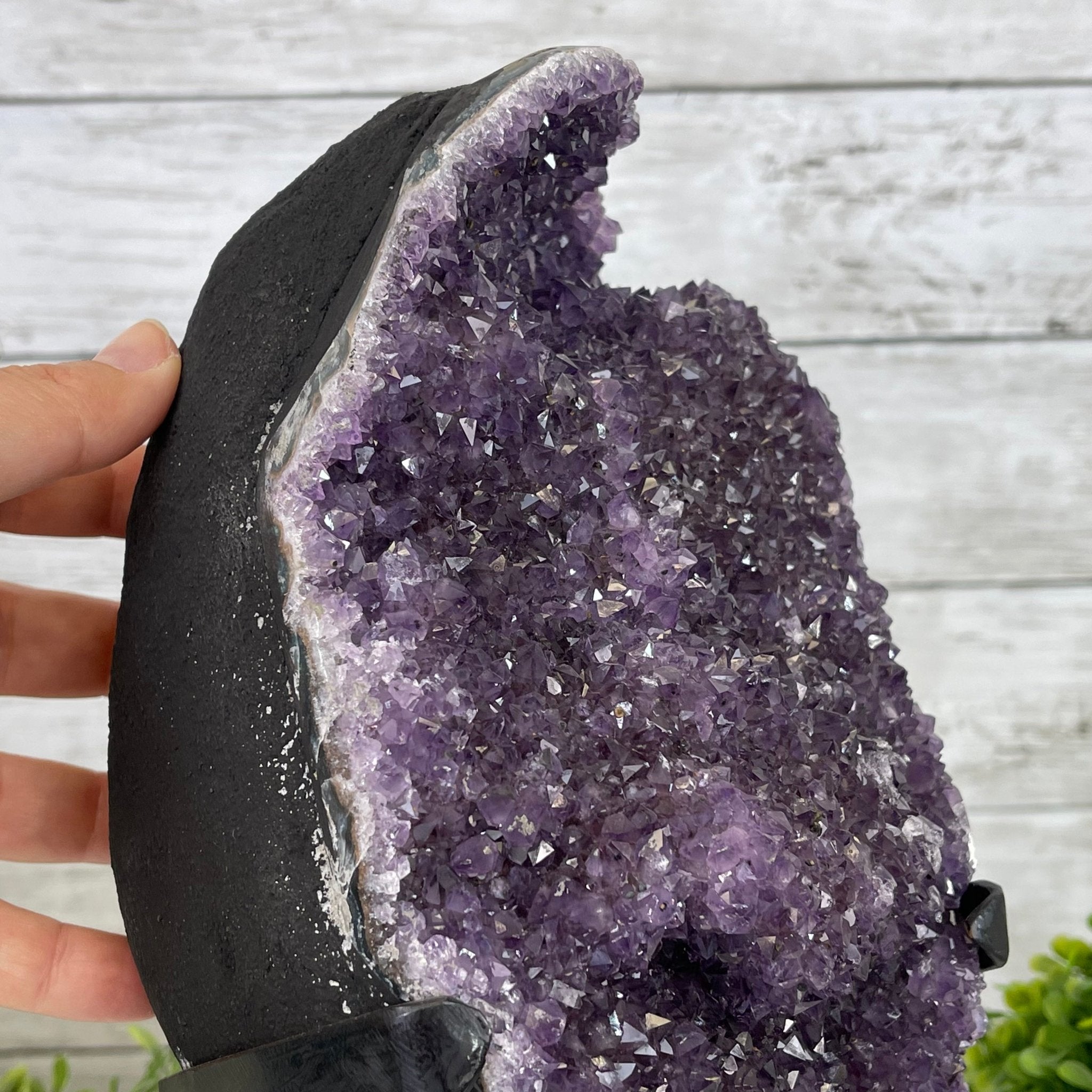 Extra Plus Quality Amethyst Druse Cluster on Metal Stand, 14.4 lbs & 14.25" tall #5491-0056 by Brazil Gems - Brazil GemsBrazil GemsExtra Plus Quality Amethyst Druse Cluster on Metal Stand, 14.4 lbs & 14.25" tall #5491-0056 by Brazil GemsClusters on Fixed Bases5491-0056