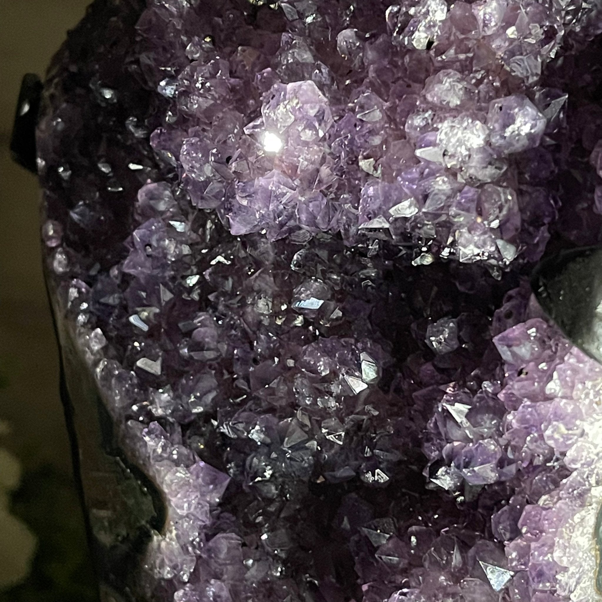 Extra Plus Quality Amethyst Druse Cluster on Metal Stand, 14.4 lbs & 14.25" tall #5491-0056 by Brazil Gems - Brazil GemsBrazil GemsExtra Plus Quality Amethyst Druse Cluster on Metal Stand, 14.4 lbs & 14.25" tall #5491-0056 by Brazil GemsClusters on Fixed Bases5491-0056