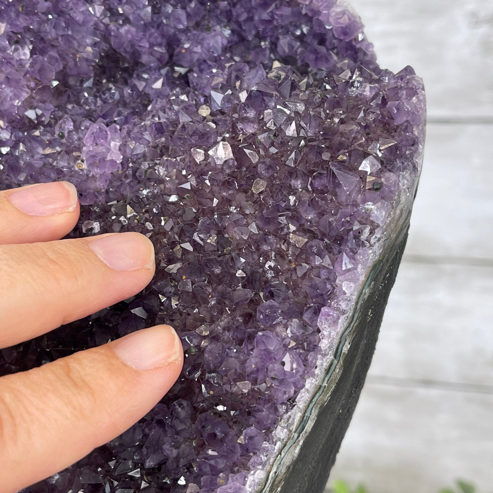 Extra Plus Quality Amethyst Druse Cluster on Metal Stand, 14.4 lbs & 14.25" tall #5491-0056 by Brazil Gems - Brazil GemsBrazil GemsExtra Plus Quality Amethyst Druse Cluster on Metal Stand, 14.4 lbs & 14.25" tall #5491-0056 by Brazil GemsClusters on Fixed Bases5491-0056
