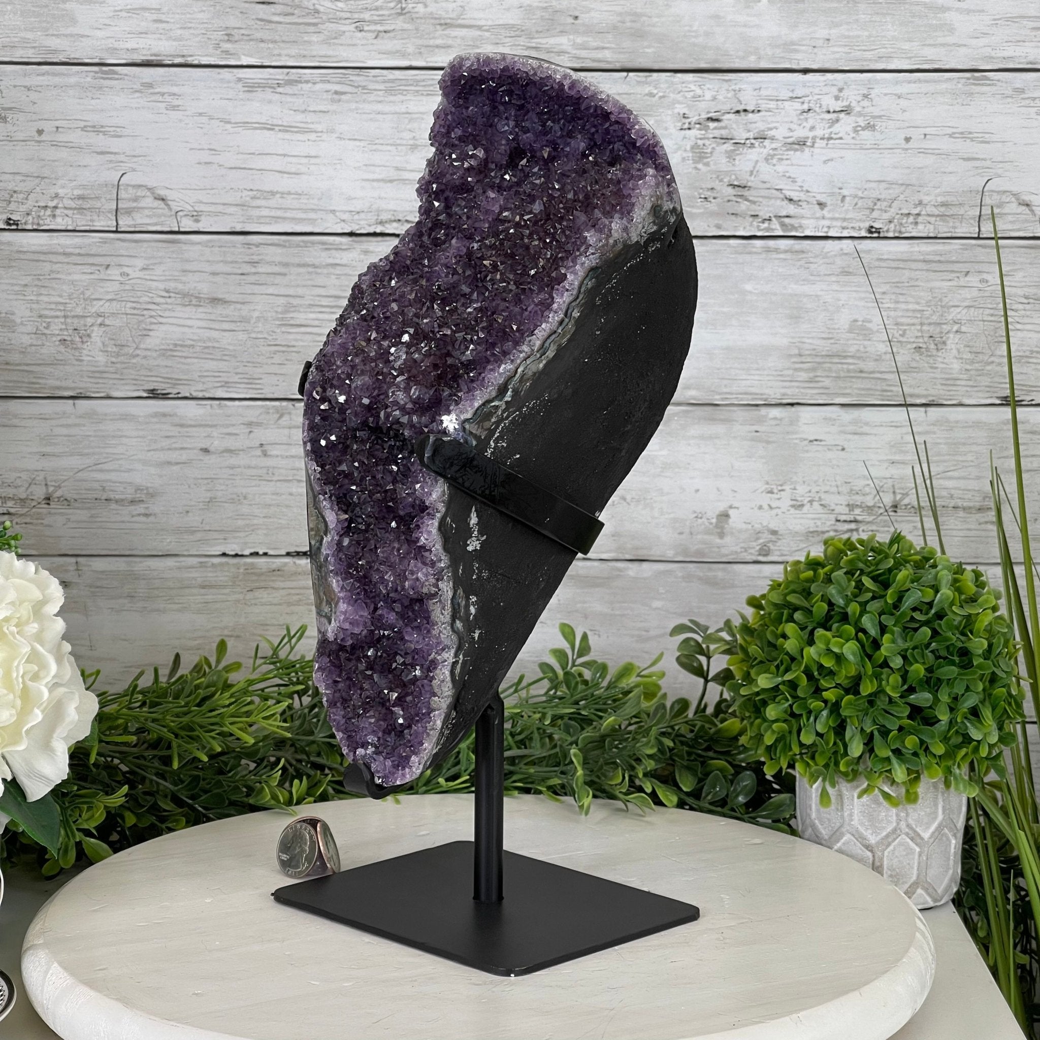 Extra Plus Quality Amethyst Druse Cluster on Metal Stand, 14.4 lbs & 14.25" tall #5491-0056 by Brazil Gems - Brazil GemsBrazil GemsExtra Plus Quality Amethyst Druse Cluster on Metal Stand, 14.4 lbs & 14.25" tall #5491-0056 by Brazil GemsClusters on Fixed Bases5491-0056