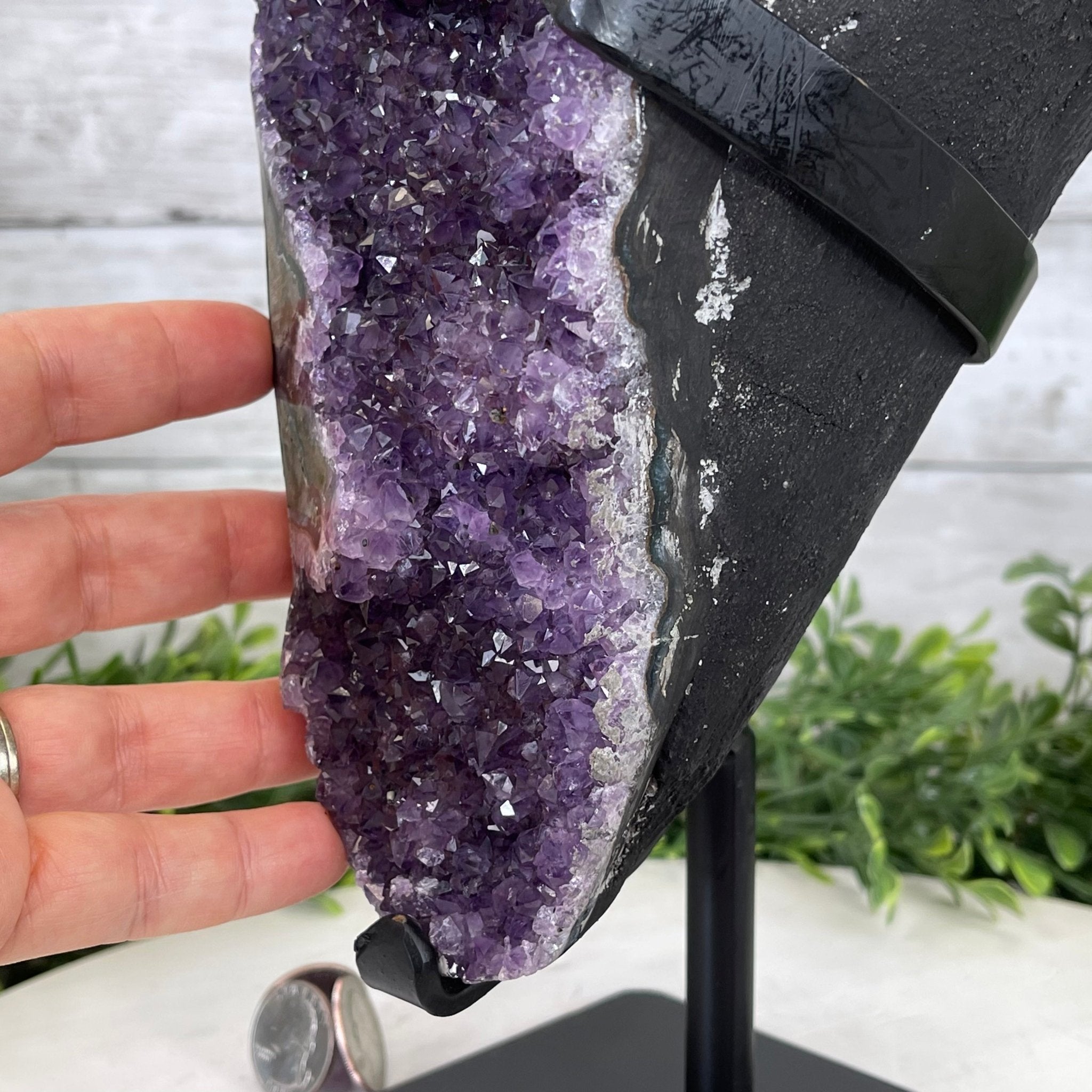 Extra Plus Quality Amethyst Druse Cluster on Metal Stand, 14.4 lbs & 14.25" tall #5491-0056 by Brazil Gems - Brazil GemsBrazil GemsExtra Plus Quality Amethyst Druse Cluster on Metal Stand, 14.4 lbs & 14.25" tall #5491-0056 by Brazil GemsClusters on Fixed Bases5491-0056