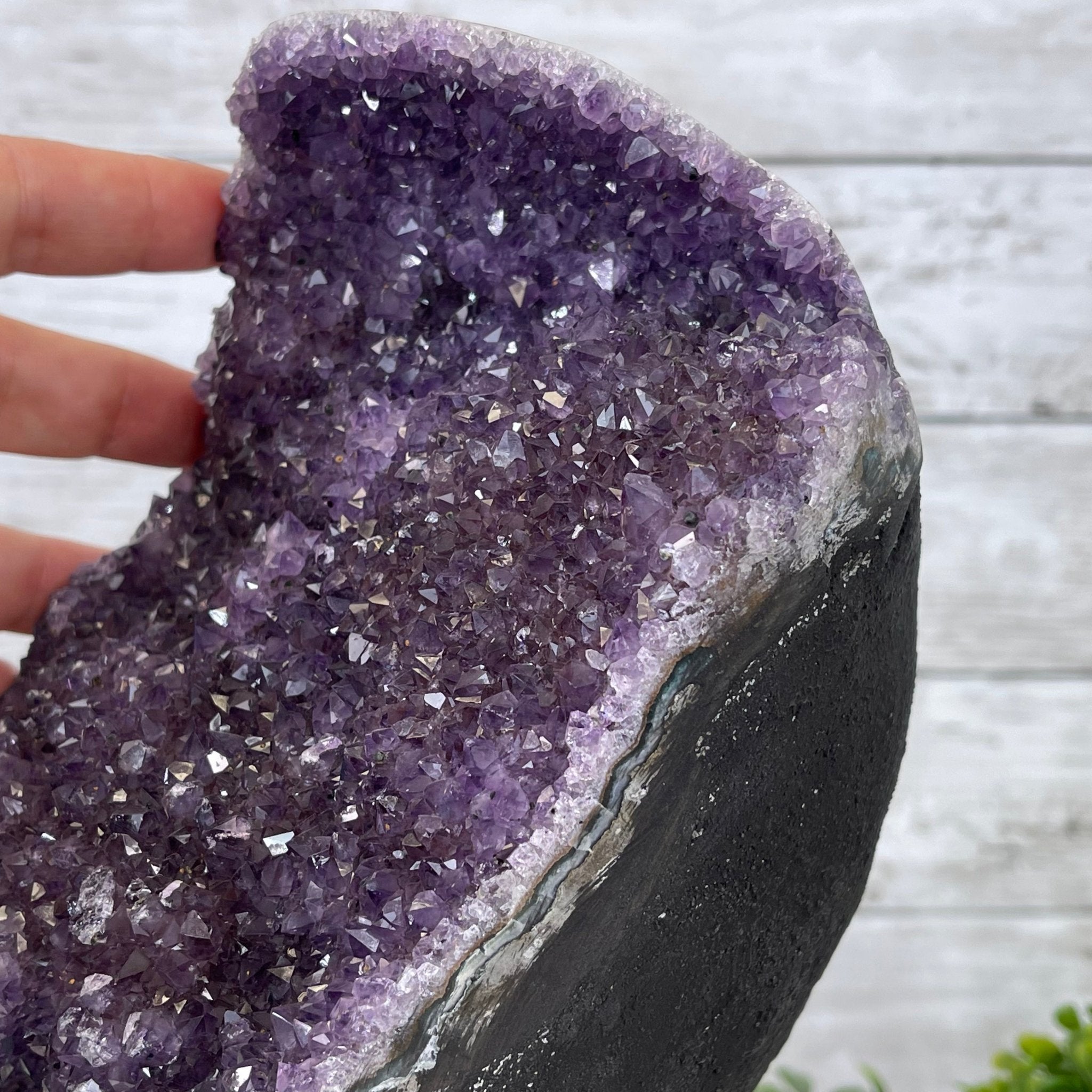 Extra Plus Quality Amethyst Druse Cluster on Metal Stand, 14.4 lbs & 14.25" tall #5491-0056 by Brazil Gems - Brazil GemsBrazil GemsExtra Plus Quality Amethyst Druse Cluster on Metal Stand, 14.4 lbs & 14.25" tall #5491-0056 by Brazil GemsClusters on Fixed Bases5491-0056