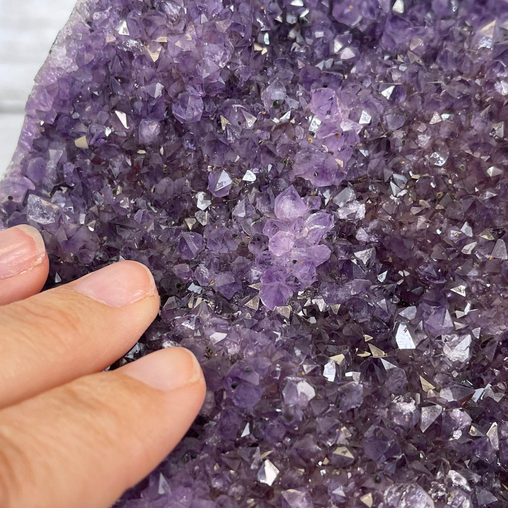 Extra Plus Quality Amethyst Druse Cluster on Metal Stand, 14.4 lbs & 14.25" tall #5491-0056 by Brazil Gems - Brazil GemsBrazil GemsExtra Plus Quality Amethyst Druse Cluster on Metal Stand, 14.4 lbs & 14.25" tall #5491-0056 by Brazil GemsClusters on Fixed Bases5491-0056