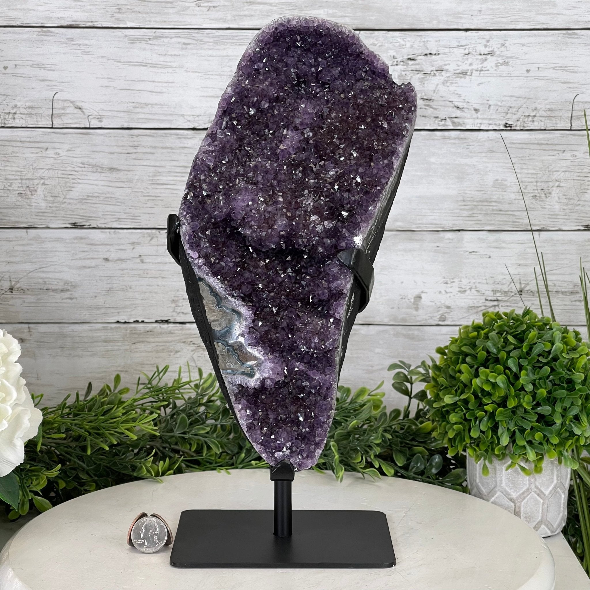 Extra Plus Quality Amethyst Druse Cluster on Metal Stand, 14.4 lbs & 14.25" tall #5491-0056 by Brazil Gems - Brazil GemsBrazil GemsExtra Plus Quality Amethyst Druse Cluster on Metal Stand, 14.4 lbs & 14.25" tall #5491-0056 by Brazil GemsClusters on Fixed Bases5491-0056
