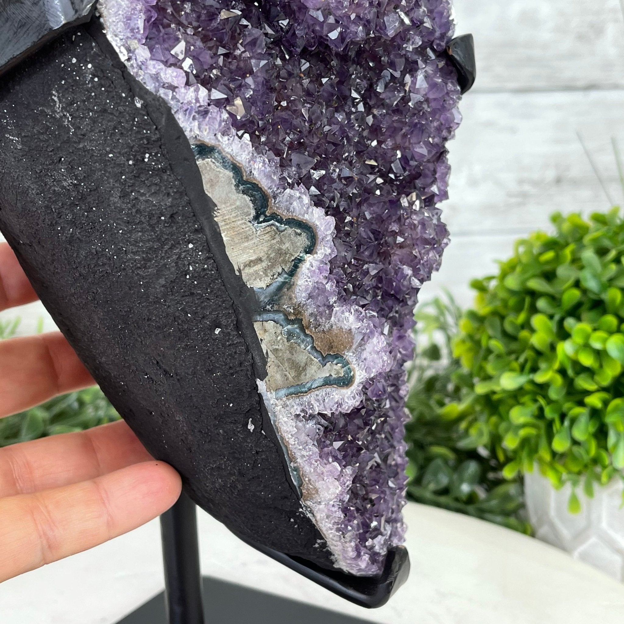 Extra Plus Quality Amethyst Druse Cluster on Metal Stand, 14.4 lbs & 14.25" tall #5491-0056 by Brazil Gems - Brazil GemsBrazil GemsExtra Plus Quality Amethyst Druse Cluster on Metal Stand, 14.4 lbs & 14.25" tall #5491-0056 by Brazil GemsClusters on Fixed Bases5491-0056