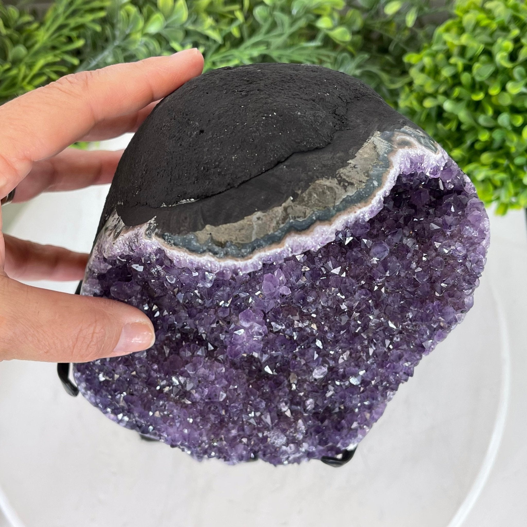 Extra Plus Quality Amethyst Druse Cluster on Metal Stand, 14.4 lbs & 14.25" tall #5491-0056 by Brazil Gems - Brazil GemsBrazil GemsExtra Plus Quality Amethyst Druse Cluster on Metal Stand, 14.4 lbs & 14.25" tall #5491-0056 by Brazil GemsClusters on Fixed Bases5491-0056