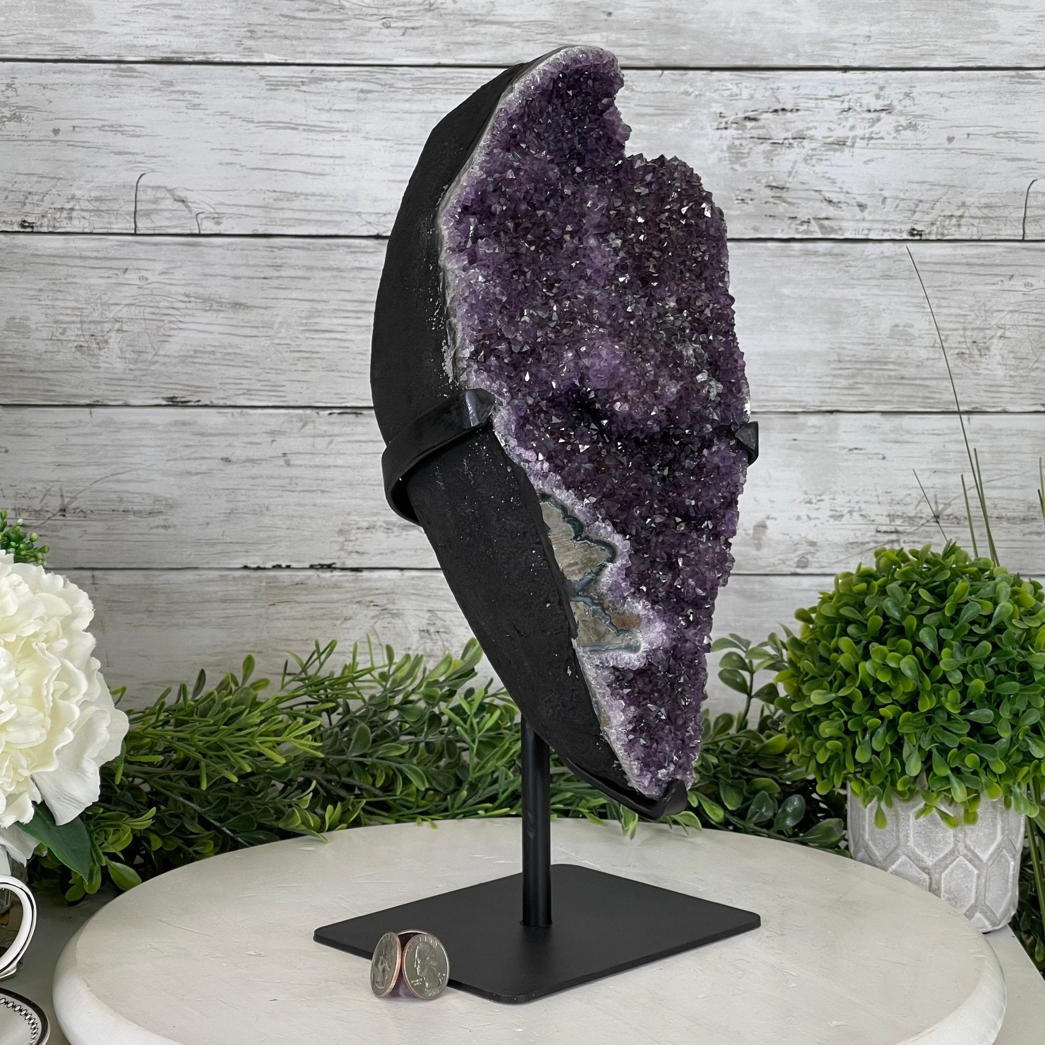 Extra Plus Quality Amethyst Druse Cluster on Metal Stand, 14.4 lbs & 14.25" tall #5491-0056 by Brazil Gems - Brazil GemsBrazil GemsExtra Plus Quality Amethyst Druse Cluster on Metal Stand, 14.4 lbs & 14.25" tall #5491-0056 by Brazil GemsClusters on Fixed Bases5491-0056