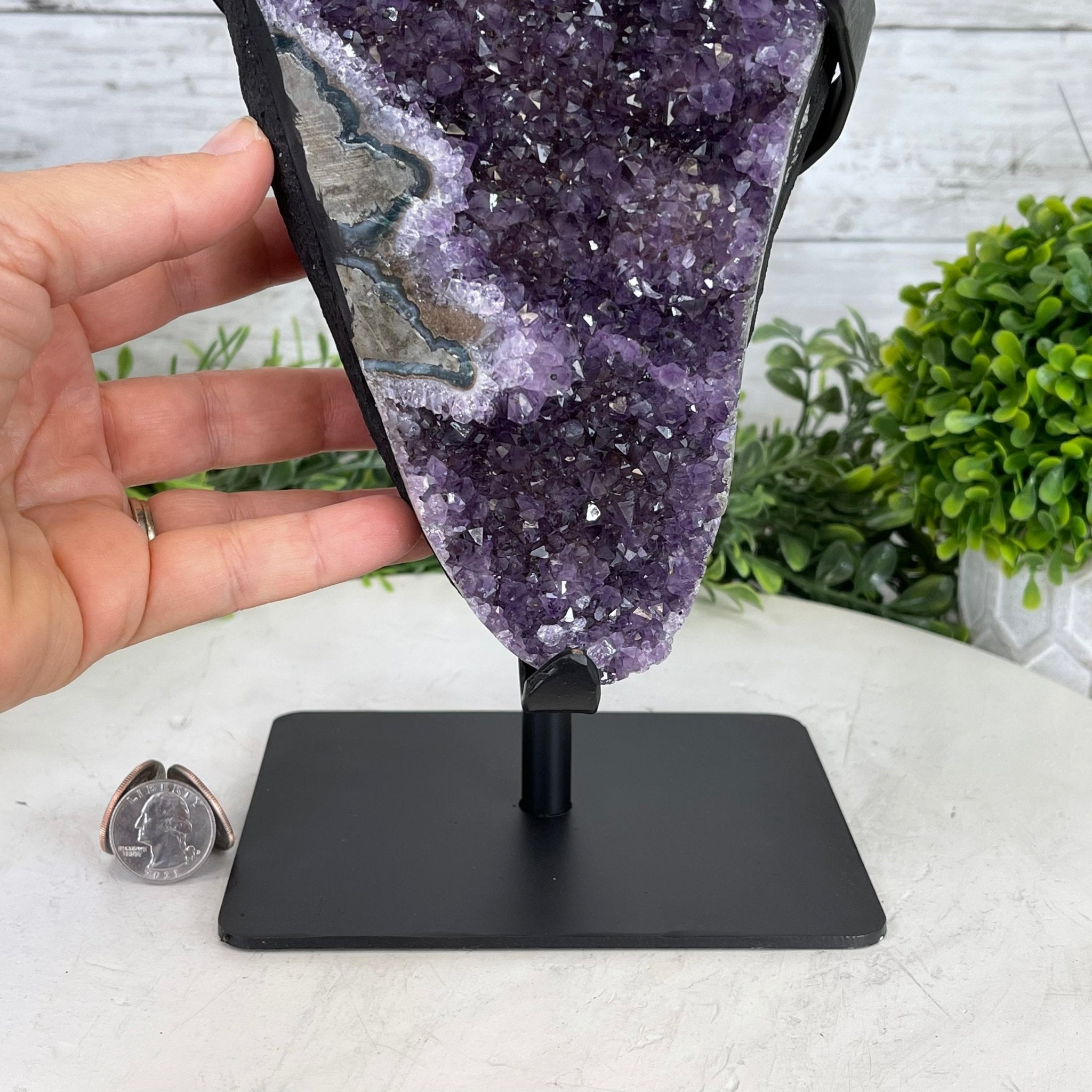Extra Plus Quality Amethyst Druse Cluster on Metal Stand, 14.4 lbs & 14.25" tall #5491-0056 by Brazil Gems - Brazil GemsBrazil GemsExtra Plus Quality Amethyst Druse Cluster on Metal Stand, 14.4 lbs & 14.25" tall #5491-0056 by Brazil GemsClusters on Fixed Bases5491-0056