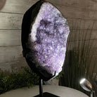 Extra Plus Quality Amethyst Druse Cluster on Metal Stand, 14.8 lbs & 13.25" tall #5491-0053 by Brazil Gems - Brazil GemsBrazil GemsExtra Plus Quality Amethyst Druse Cluster on Metal Stand, 14.8 lbs & 13.25" tall #5491-0053 by Brazil GemsClusters on Fixed Bases5491-0053