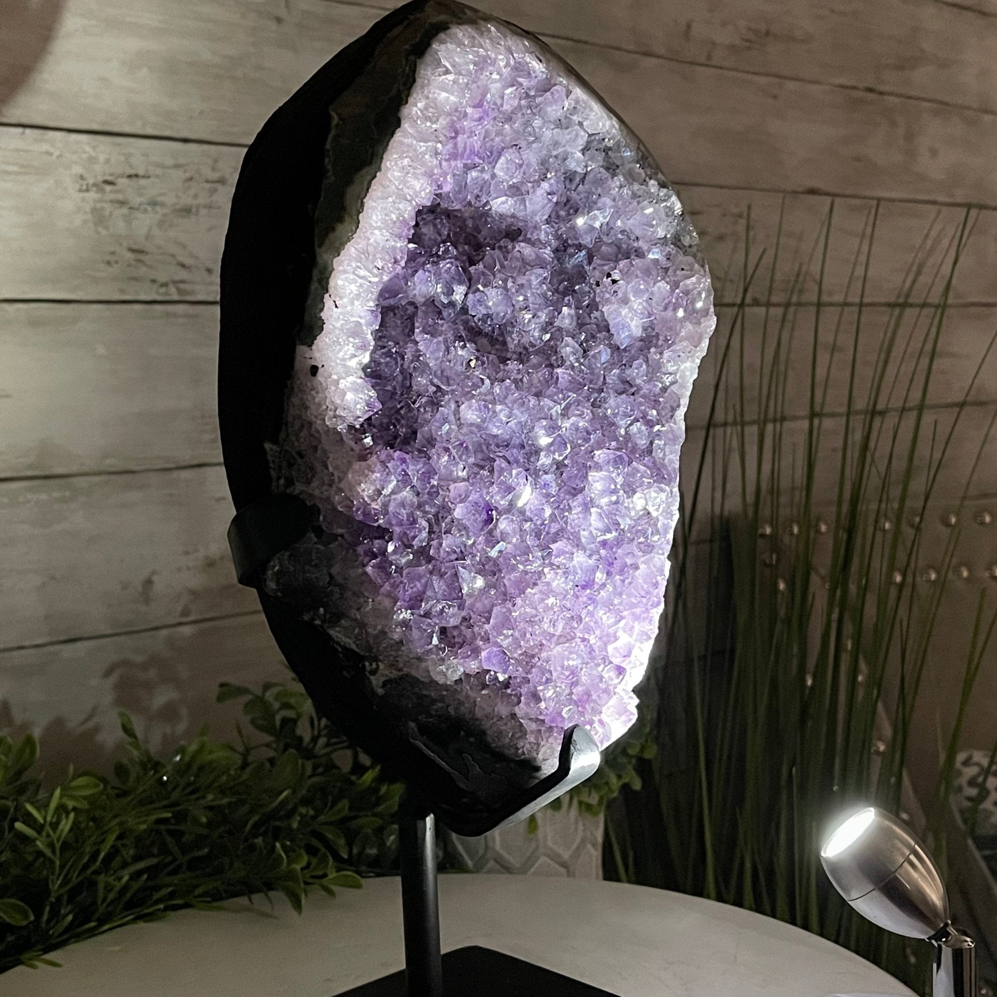 Extra Plus Quality Amethyst Druse Cluster on Metal Stand, 14.8 lbs & 13.25" tall #5491-0053 by Brazil Gems - Brazil GemsBrazil GemsExtra Plus Quality Amethyst Druse Cluster on Metal Stand, 14.8 lbs & 13.25" tall #5491-0053 by Brazil GemsClusters on Fixed Bases5491-0053