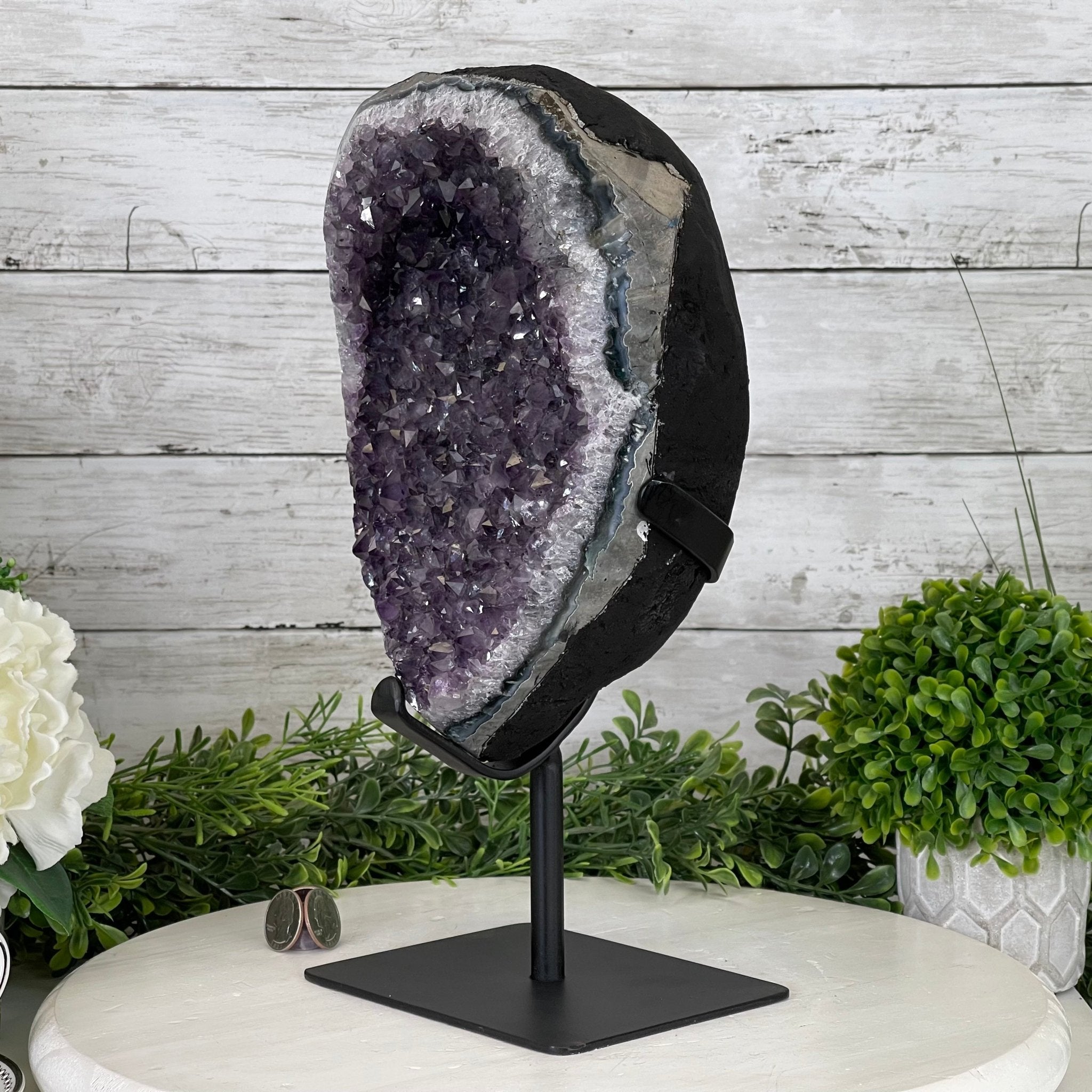 Extra Plus Quality Amethyst Druse Cluster on Metal Stand, 14.8 lbs & 13.25" tall #5491-0053 by Brazil Gems - Brazil GemsBrazil GemsExtra Plus Quality Amethyst Druse Cluster on Metal Stand, 14.8 lbs & 13.25" tall #5491-0053 by Brazil GemsClusters on Fixed Bases5491-0053