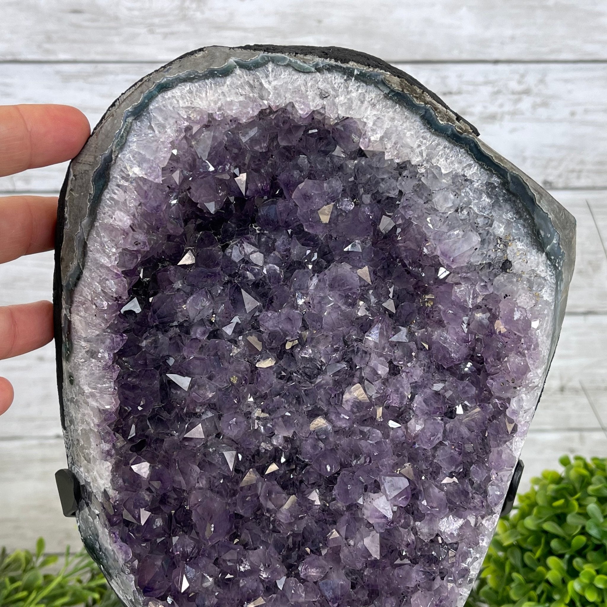 Extra Plus Quality Amethyst Druse Cluster on Metal Stand, 14.8 lbs & 13.25" tall #5491-0053 by Brazil Gems - Brazil GemsBrazil GemsExtra Plus Quality Amethyst Druse Cluster on Metal Stand, 14.8 lbs & 13.25" tall #5491-0053 by Brazil GemsClusters on Fixed Bases5491-0053
