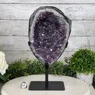 Extra Plus Quality Amethyst Druse Cluster on Metal Stand, 14.8 lbs & 13.25" tall #5491-0053 by Brazil Gems - Brazil GemsBrazil GemsExtra Plus Quality Amethyst Druse Cluster on Metal Stand, 14.8 lbs & 13.25" tall #5491-0053 by Brazil GemsClusters on Fixed Bases5491-0053