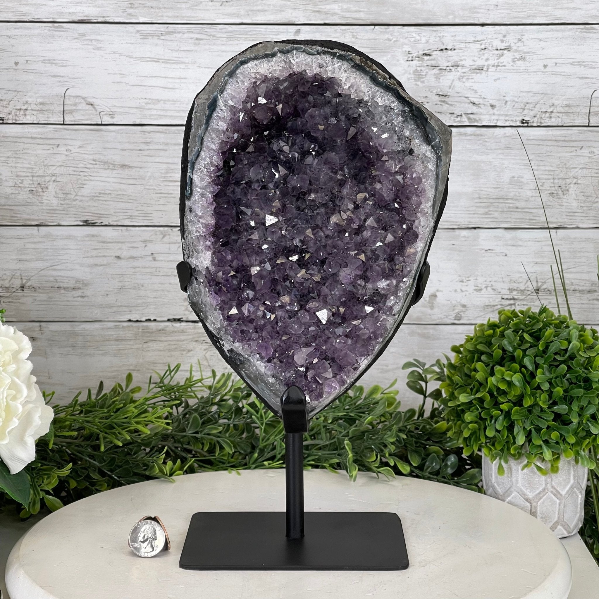 Extra Plus Quality Amethyst Druse Cluster on Metal Stand, 14.8 lbs & 13.25" tall #5491-0053 by Brazil Gems - Brazil GemsBrazil GemsExtra Plus Quality Amethyst Druse Cluster on Metal Stand, 14.8 lbs & 13.25" tall #5491-0053 by Brazil GemsClusters on Fixed Bases5491-0053