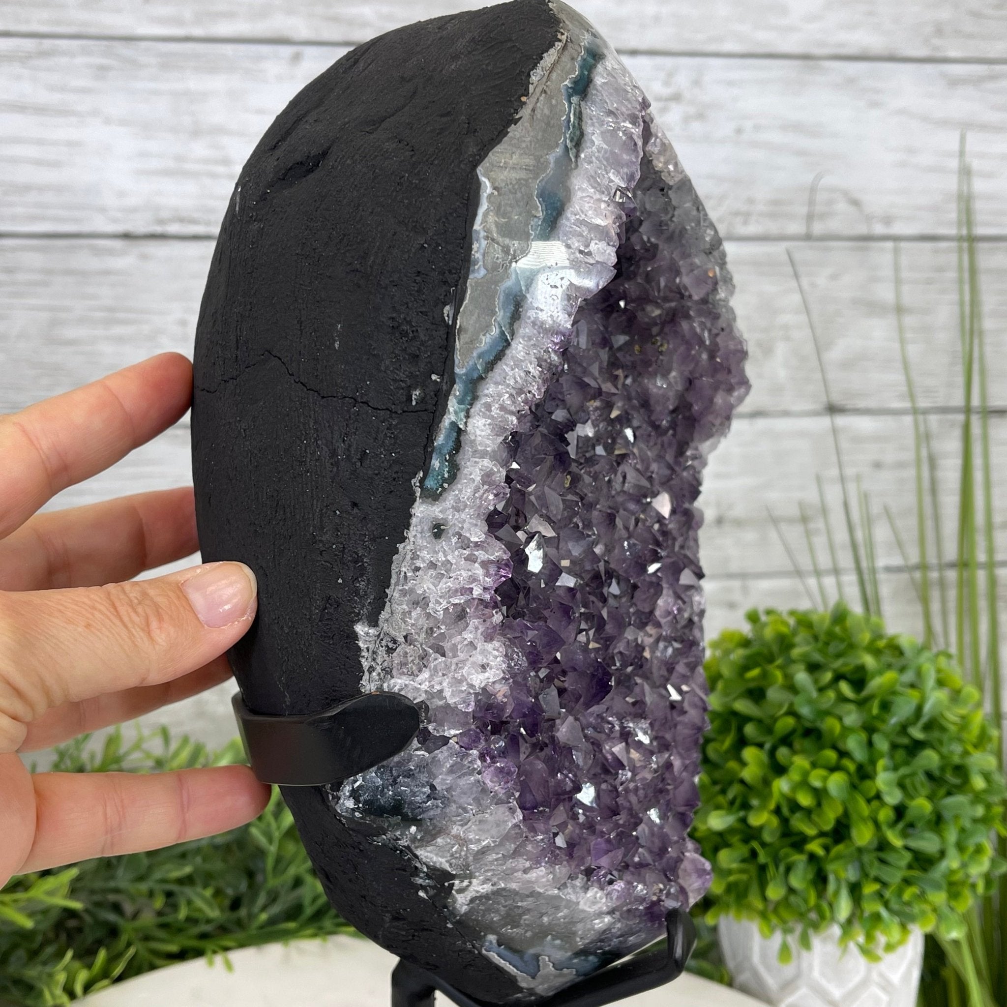 Extra Plus Quality Amethyst Druse Cluster on Metal Stand, 14.8 lbs & 13.25" tall #5491-0053 by Brazil Gems - Brazil GemsBrazil GemsExtra Plus Quality Amethyst Druse Cluster on Metal Stand, 14.8 lbs & 13.25" tall #5491-0053 by Brazil GemsClusters on Fixed Bases5491-0053