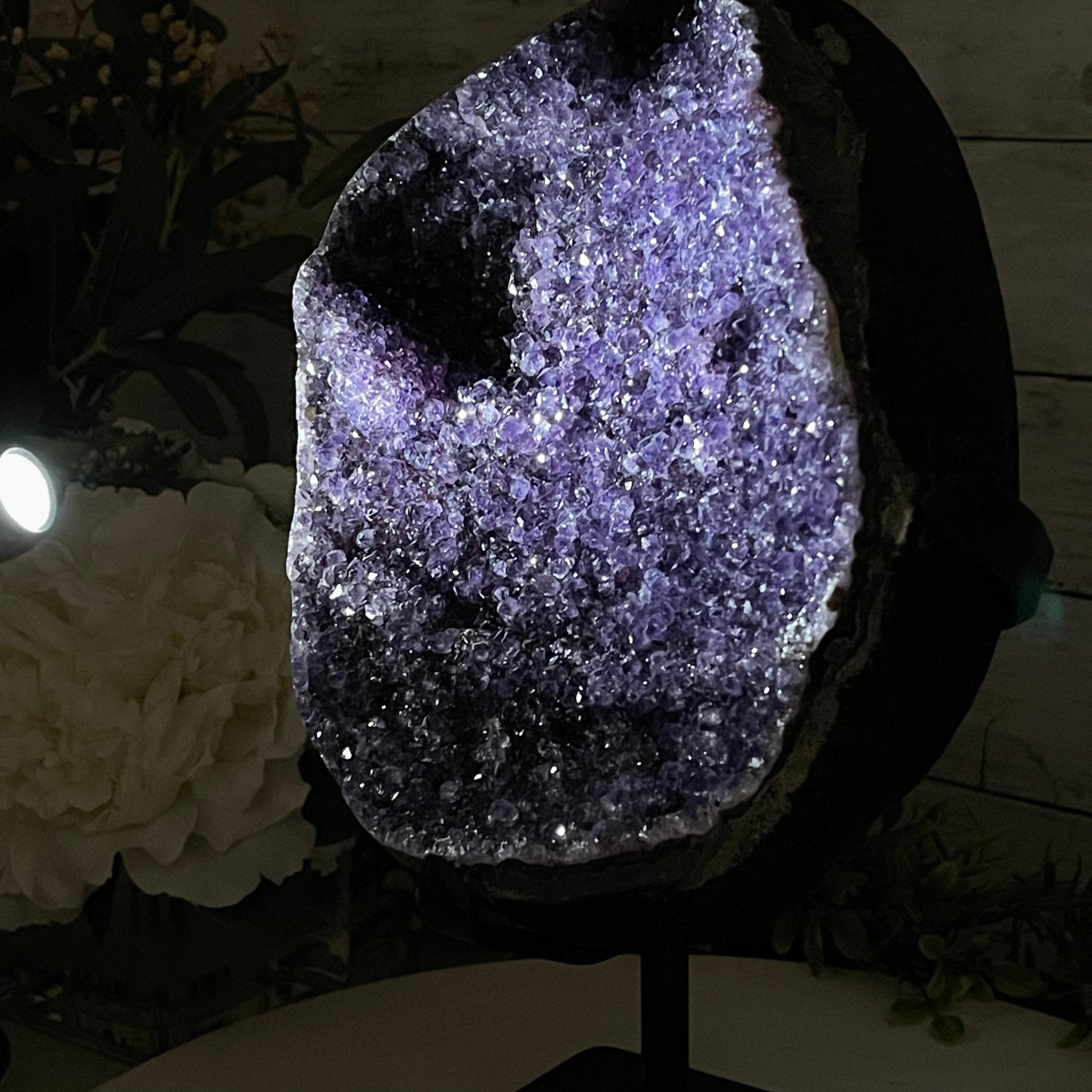 Extra Plus Quality Amethyst Druse Cluster on Metal Stand, 16.5 lbs & 12" tall #5491-0039 by Brazil Gems - Brazil GemsBrazil GemsExtra Plus Quality Amethyst Druse Cluster on Metal Stand, 16.5 lbs & 12" tall #5491-0039 by Brazil GemsClusters on Fixed Bases5491-0039