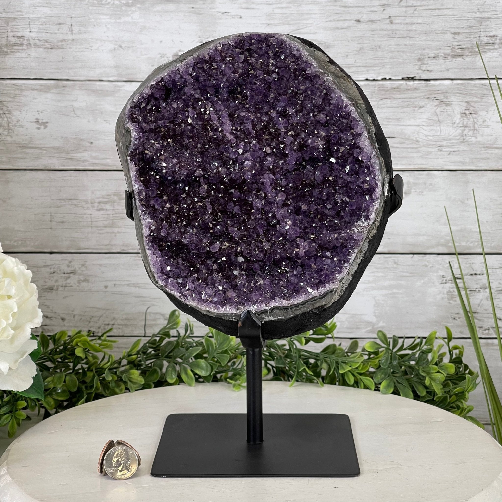 Extra Plus Quality Amethyst Druse Cluster on Metal Stand, 16.5 lbs & 12" tall #5491-0039 by Brazil Gems - Brazil GemsBrazil GemsExtra Plus Quality Amethyst Druse Cluster on Metal Stand, 16.5 lbs & 12" tall #5491-0039 by Brazil GemsClusters on Fixed Bases5491-0039
