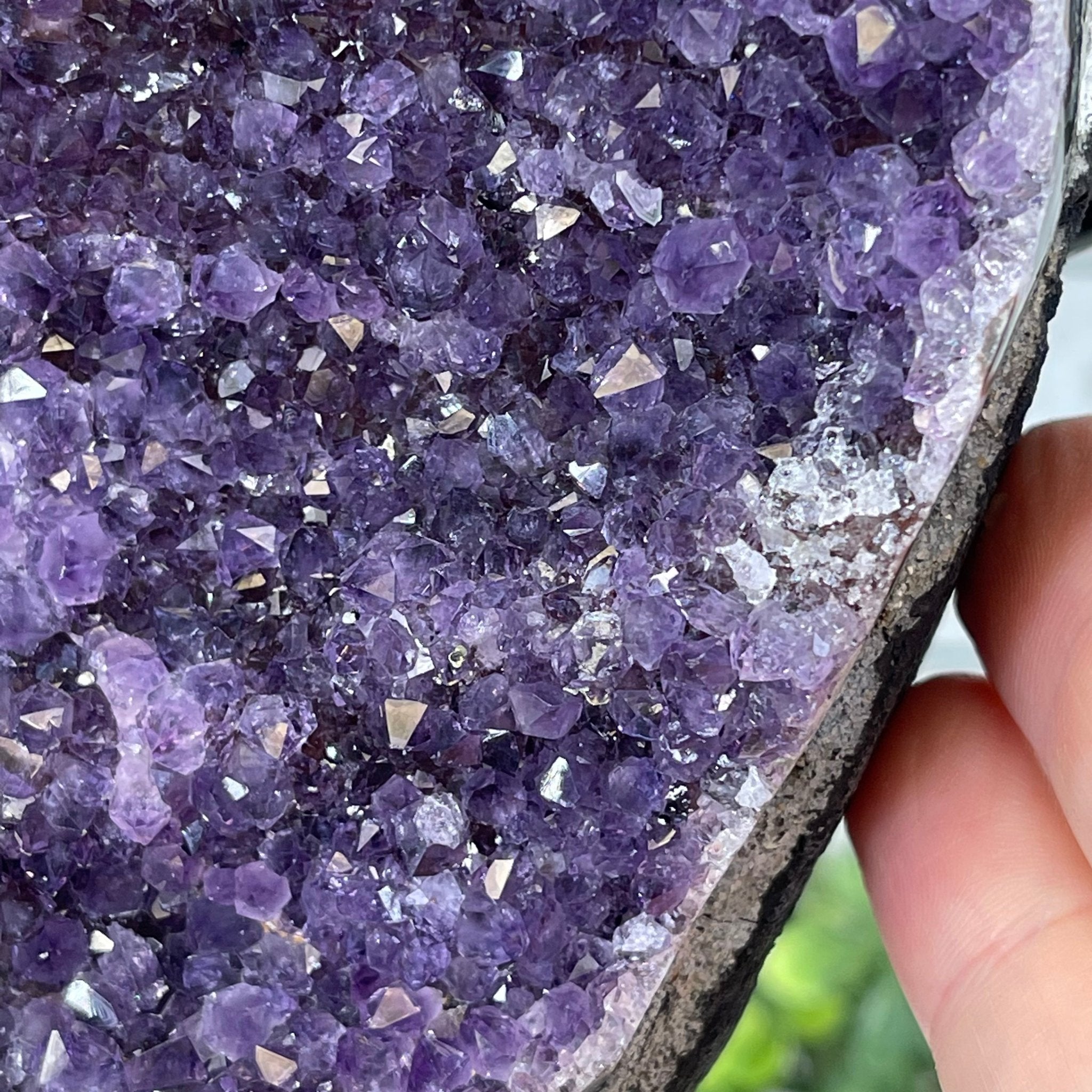 Extra Plus Quality Amethyst Druse Cluster on Metal Stand, 16.5 lbs & 12" tall #5491-0039 by Brazil Gems - Brazil GemsBrazil GemsExtra Plus Quality Amethyst Druse Cluster on Metal Stand, 16.5 lbs & 12" tall #5491-0039 by Brazil GemsClusters on Fixed Bases5491-0039