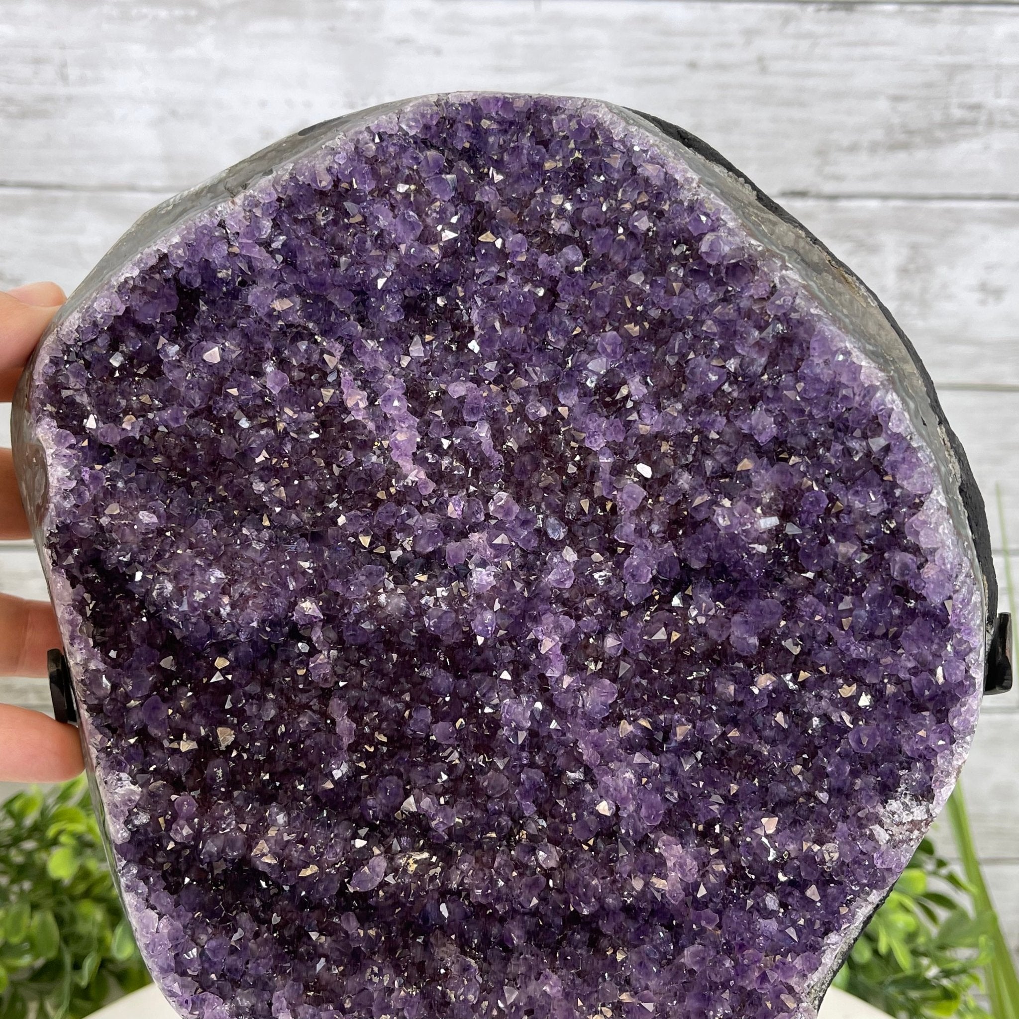 Extra Plus Quality Amethyst Druse Cluster on Metal Stand, 16.5 lbs & 12" tall #5491-0039 by Brazil Gems - Brazil GemsBrazil GemsExtra Plus Quality Amethyst Druse Cluster on Metal Stand, 16.5 lbs & 12" tall #5491-0039 by Brazil GemsClusters on Fixed Bases5491-0039