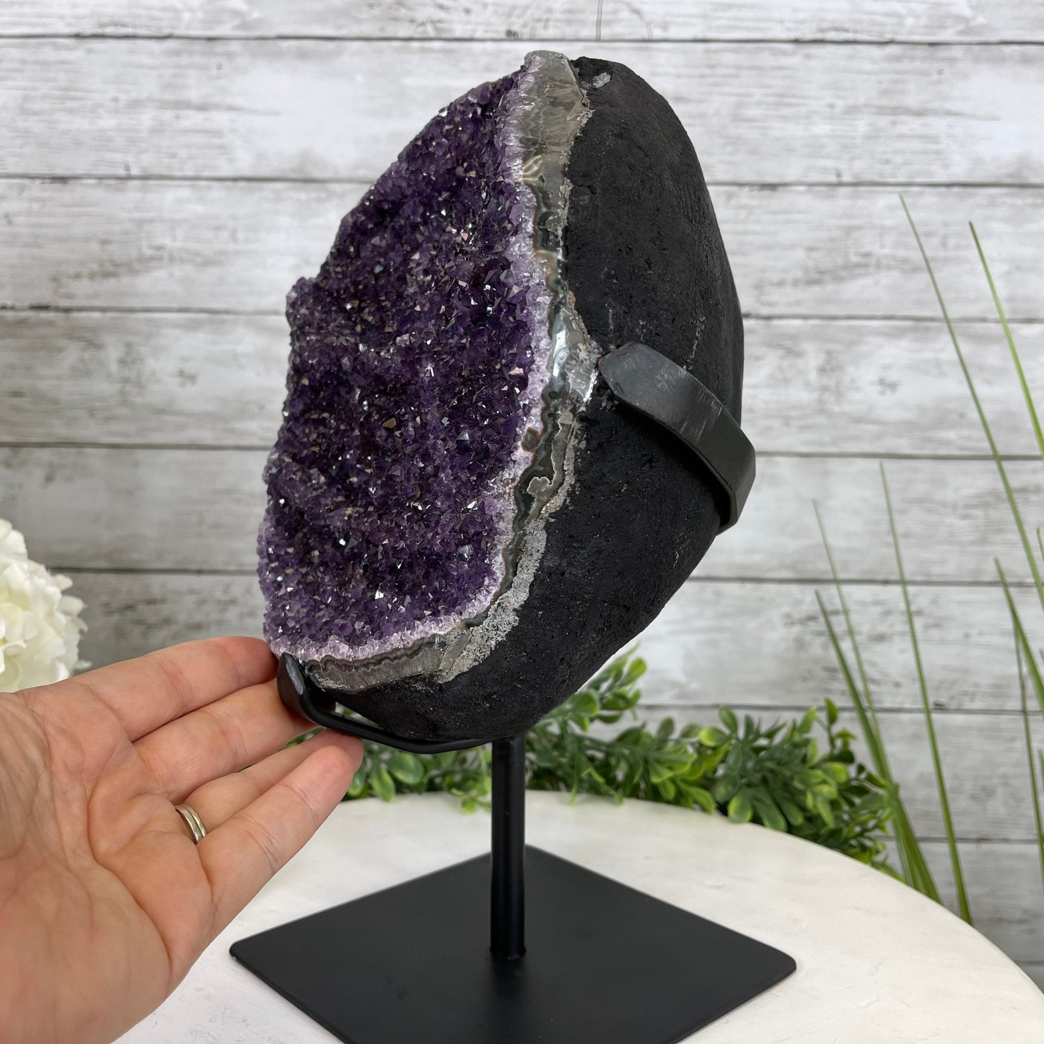 Extra Plus Quality Amethyst Druse Cluster on Metal Stand, 16.5 lbs & 12" tall #5491-0039 by Brazil Gems - Brazil GemsBrazil GemsExtra Plus Quality Amethyst Druse Cluster on Metal Stand, 16.5 lbs & 12" tall #5491-0039 by Brazil GemsClusters on Fixed Bases5491-0039