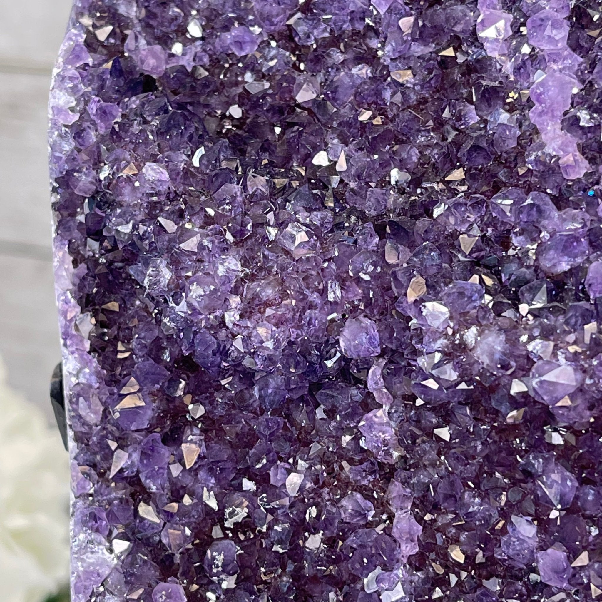 Extra Plus Quality Amethyst Druse Cluster on Metal Stand, 16.5 lbs & 12" tall #5491-0039 by Brazil Gems - Brazil GemsBrazil GemsExtra Plus Quality Amethyst Druse Cluster on Metal Stand, 16.5 lbs & 12" tall #5491-0039 by Brazil GemsClusters on Fixed Bases5491-0039