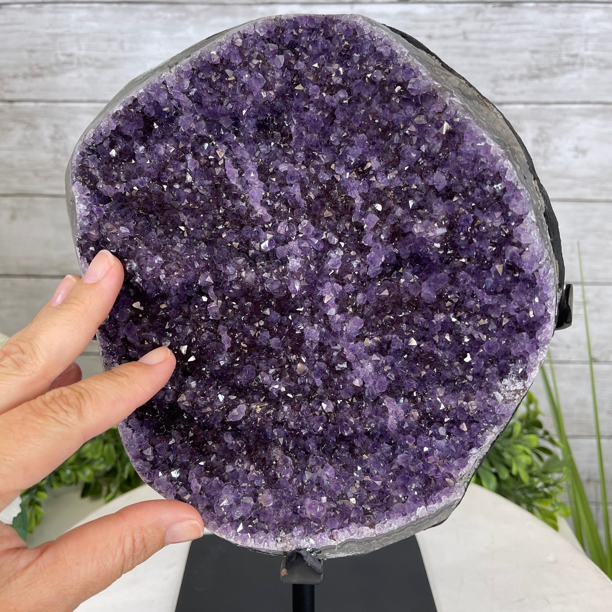 Extra Plus Quality Amethyst Druse Cluster on Metal Stand, 16.5 lbs & 12" tall #5491-0039 by Brazil Gems - Brazil GemsBrazil GemsExtra Plus Quality Amethyst Druse Cluster on Metal Stand, 16.5 lbs & 12" tall #5491-0039 by Brazil GemsClusters on Fixed Bases5491-0039
