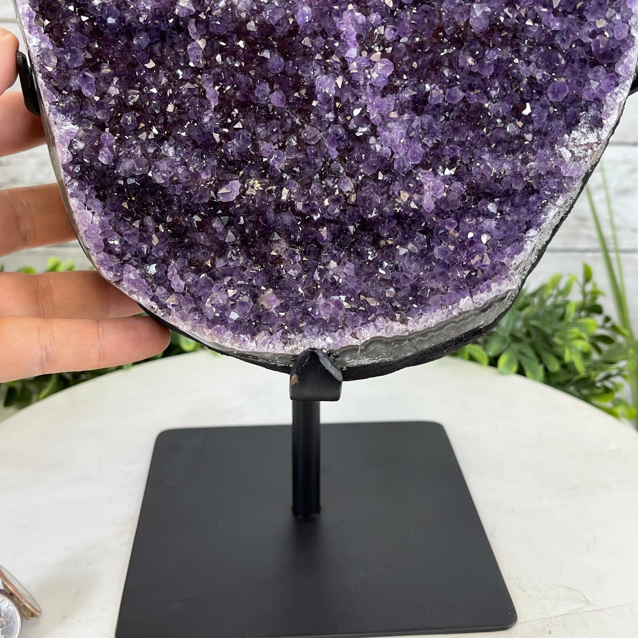 Extra Plus Quality Amethyst Druse Cluster on Metal Stand, 16.5 lbs & 12" tall #5491-0039 by Brazil Gems - Brazil GemsBrazil GemsExtra Plus Quality Amethyst Druse Cluster on Metal Stand, 16.5 lbs & 12" tall #5491-0039 by Brazil GemsClusters on Fixed Bases5491-0039