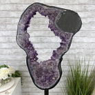 Extra Plus Quality Amethyst Druse Crystal Portal on a Stand, 85 lbs & 66.75" Tall Model #5606-0011 by Brazil Gems - Brazil GemsBrazil GemsExtra Plus Quality Amethyst Druse Crystal Portal on a Stand, 85 lbs & 66.75" Tall Model #5606-0011 by Brazil GemsPortals on Fixed Bases5606-0011