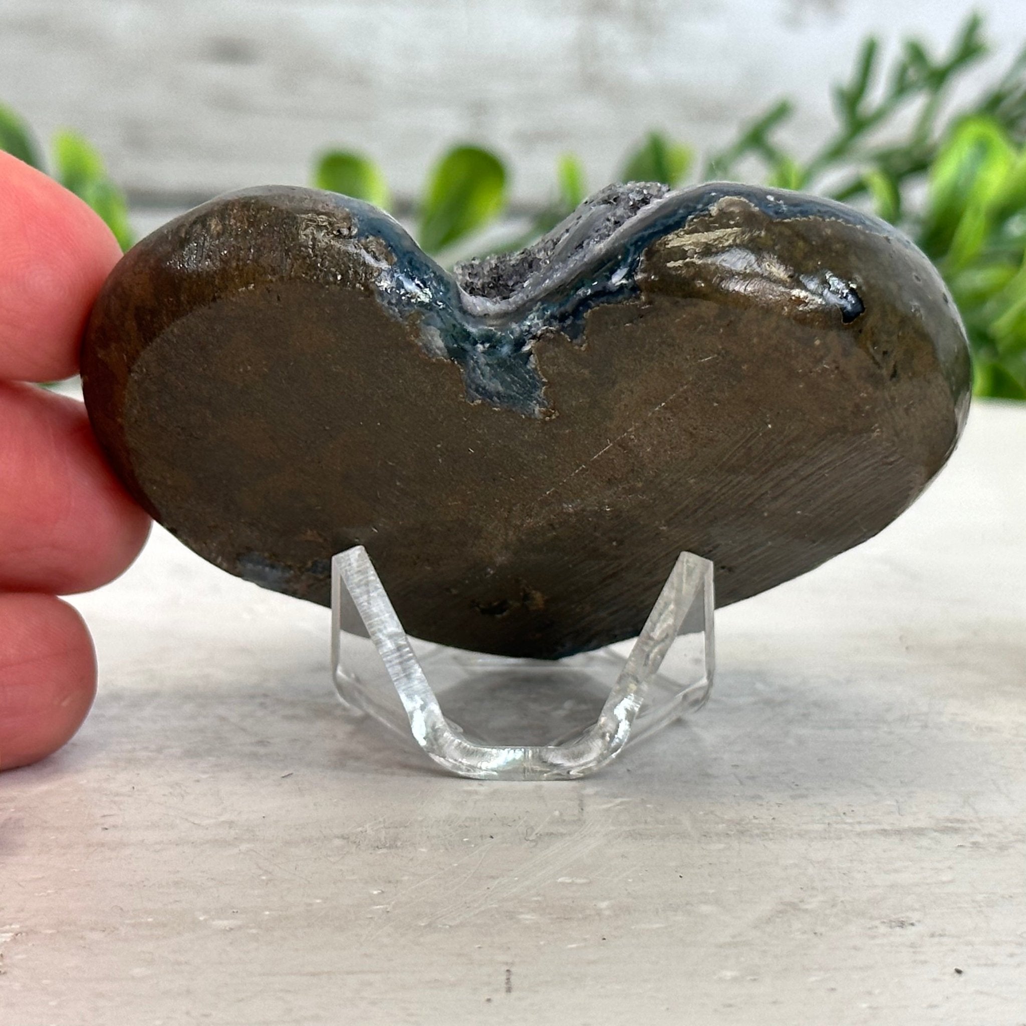 Extra Plus Quality Amethyst Heart Geode on an Acrylic Stand, 0.29 lbs & 2.1" Tall #5462-0024 by Brazil Gems - Brazil GemsBrazil GemsExtra Plus Quality Amethyst Heart Geode on an Acrylic Stand, 0.29 lbs & 2.1" Tall #5462-0024 by Brazil GemsHearts5462-0024