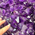 Extra Plus Quality Amethyst Wings on a Metal Stand, 174.2 lbs, 34.75" Tall #5493-0036 - Brazil GemsBrazil GemsExtra Plus Quality Amethyst Wings on a Metal Stand, 174.2 lbs, 34.75" Tall #5493-0036Amethyst Butterfly Wings5493-0036