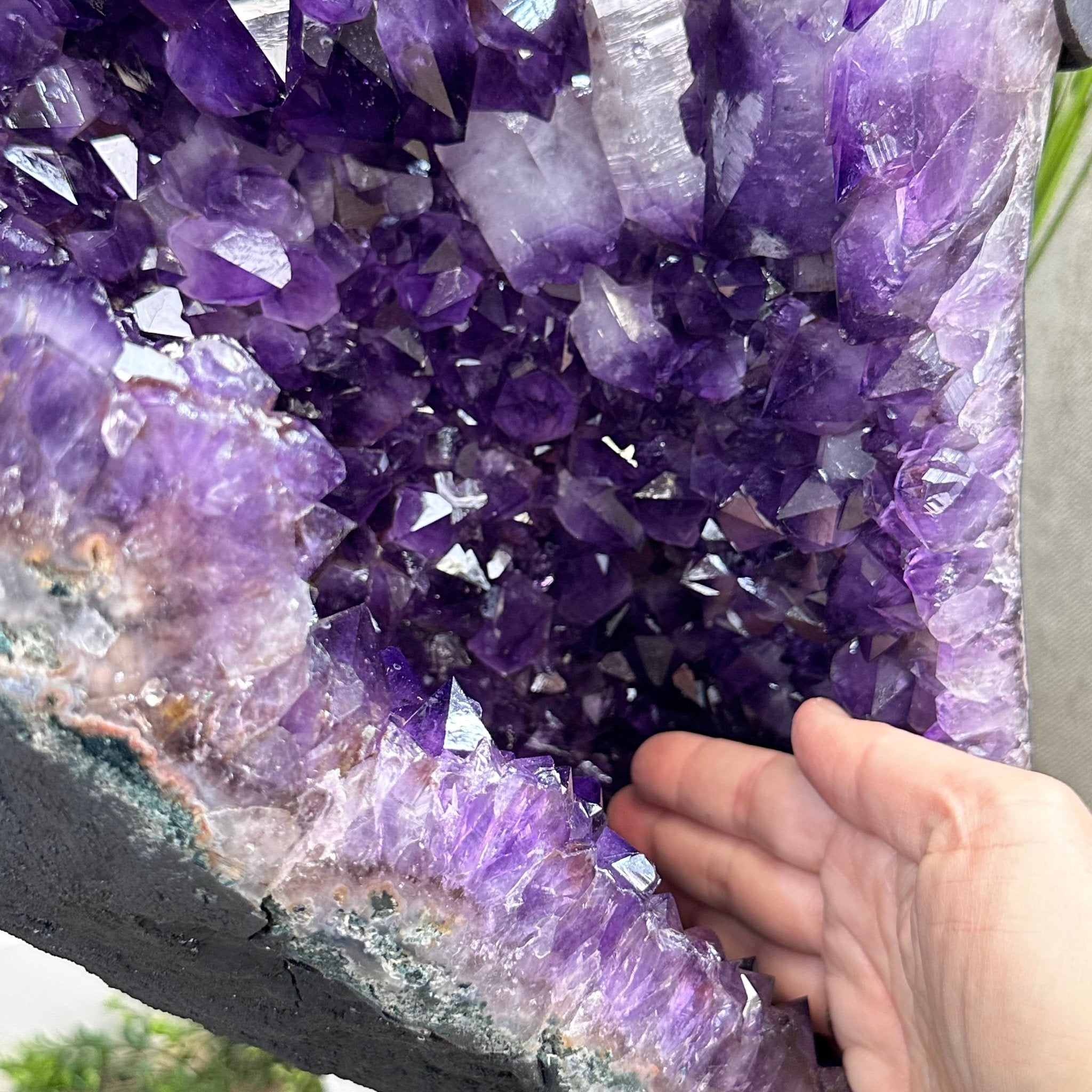 Extra Plus Quality Amethyst Wings on a Metal Stand, 174.2 lbs, 34.75" Tall #5493-0036 - Brazil GemsBrazil GemsExtra Plus Quality Amethyst Wings on a Metal Stand, 174.2 lbs, 34.75" Tall #5493-0036Amethyst Butterfly Wings5493-0036