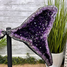 Extra Plus Quality Amethyst Wings on a Metal Stand, 174.2 lbs, 34.75" Tall #5493-0036 - Brazil GemsBrazil GemsExtra Plus Quality Amethyst Wings on a Metal Stand, 174.2 lbs, 34.75" Tall #5493-0036Amethyst Butterfly Wings5493-0036