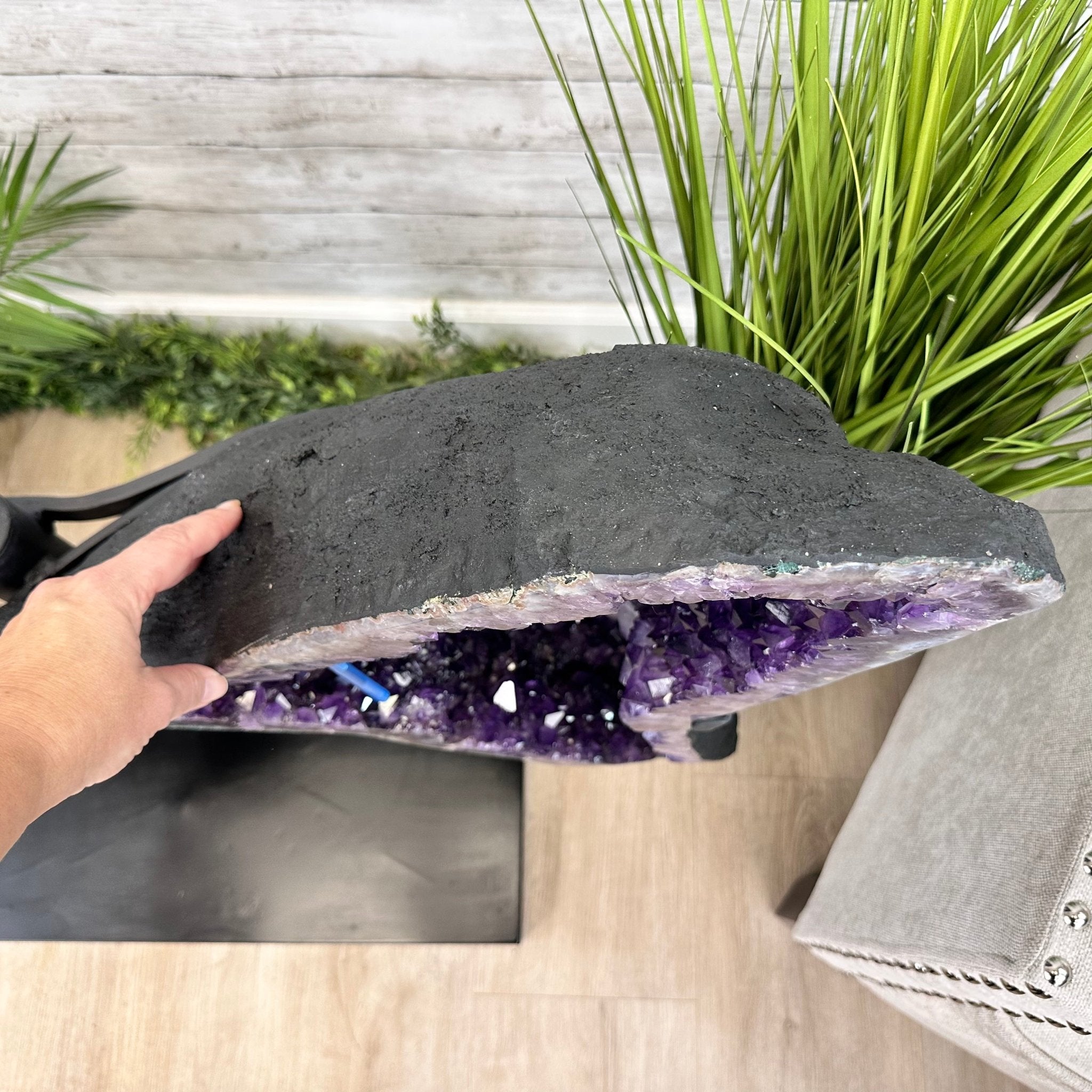 Extra Plus Quality Amethyst Wings on a Metal Stand, 174.2 lbs, 34.75" Tall #5493-0036 - Brazil GemsBrazil GemsExtra Plus Quality Amethyst Wings on a Metal Stand, 174.2 lbs, 34.75" Tall #5493-0036Amethyst Butterfly Wings5493-0036