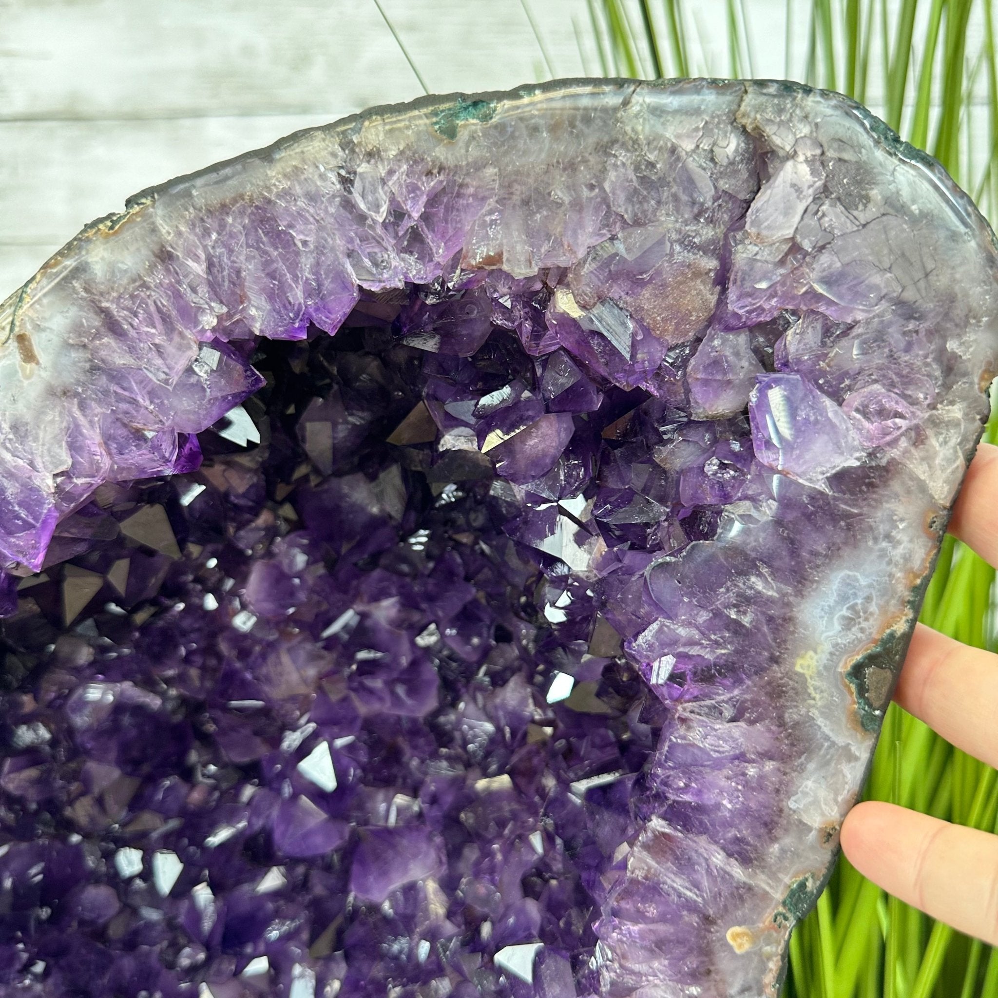 Extra Plus Quality Amethyst Wings on a Metal Stand, 174.2 lbs, 34.75" Tall #5493-0036 - Brazil GemsBrazil GemsExtra Plus Quality Amethyst Wings on a Metal Stand, 174.2 lbs, 34.75" Tall #5493-0036Amethyst Butterfly Wings5493-0036