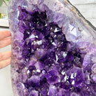 Extra Plus Quality Amethyst Wings on a Metal Stand, 174.2 lbs, 34.75" Tall #5493-0036 - Brazil GemsBrazil GemsExtra Plus Quality Amethyst Wings on a Metal Stand, 174.2 lbs, 34.75" Tall #5493-0036Amethyst Butterfly Wings5493-0036