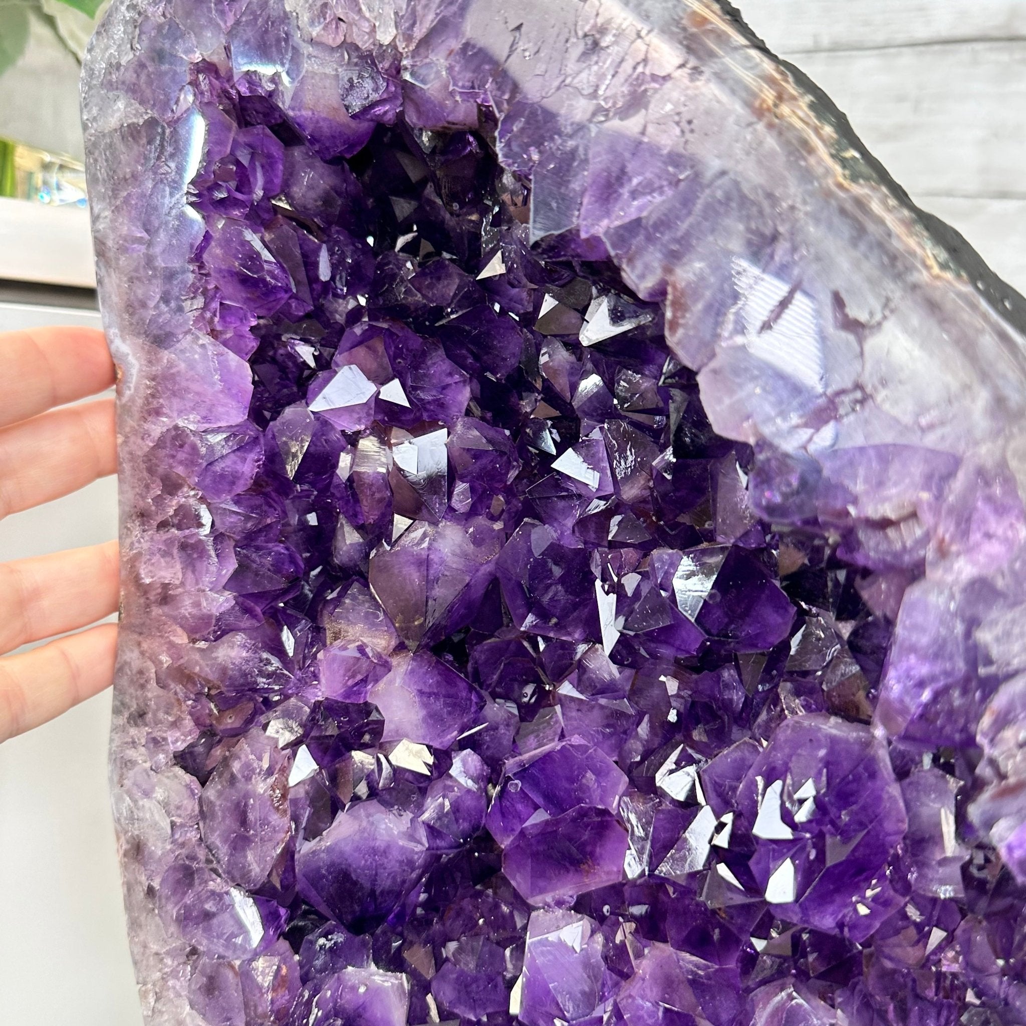 Extra Plus Quality Amethyst Wings on a Metal Stand, 174.2 lbs, 34.75" Tall #5493-0036 - Brazil GemsBrazil GemsExtra Plus Quality Amethyst Wings on a Metal Stand, 174.2 lbs, 34.75" Tall #5493-0036Amethyst Butterfly Wings5493-0036