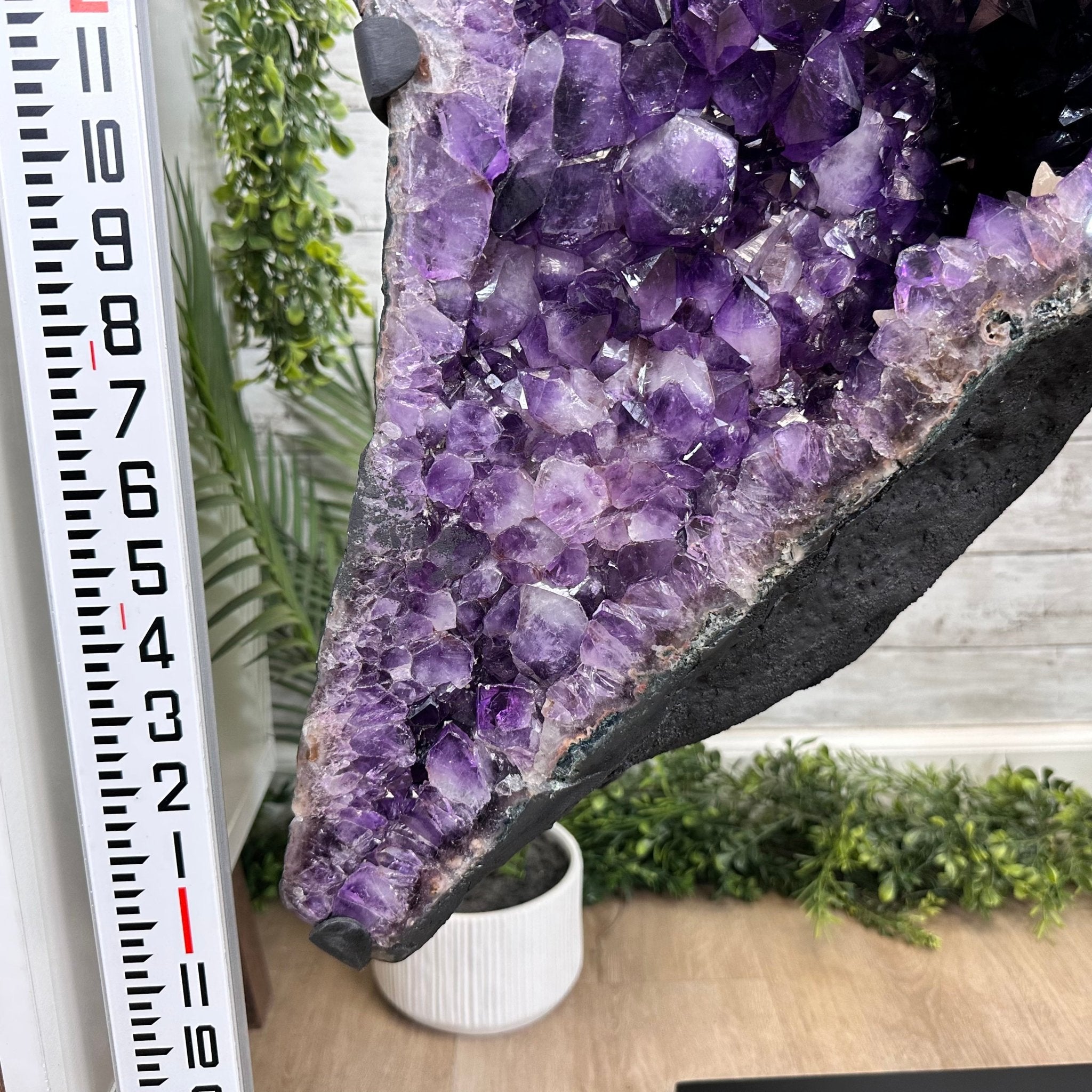 Extra Plus Quality Amethyst Wings on a Metal Stand, 174.2 lbs, 34.75" Tall #5493-0036 - Brazil GemsBrazil GemsExtra Plus Quality Amethyst Wings on a Metal Stand, 174.2 lbs, 34.75" Tall #5493-0036Amethyst Butterfly Wings5493-0036