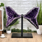 Extra Plus Quality Amethyst Wings on a Metal Stand, 174.2 lbs, 34.75" Tall #5493-0036 - Brazil GemsBrazil GemsExtra Plus Quality Amethyst Wings on a Metal Stand, 174.2 lbs, 34.75" Tall #5493-0036Amethyst Butterfly Wings5493-0036