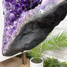 Extra Plus Quality Amethyst Wings on a Metal Stand, 174.2 lbs, 34.75" Tall #5493-0036 - Brazil GemsBrazil GemsExtra Plus Quality Amethyst Wings on a Metal Stand, 174.2 lbs, 34.75" Tall #5493-0036Amethyst Butterfly Wings5493-0036