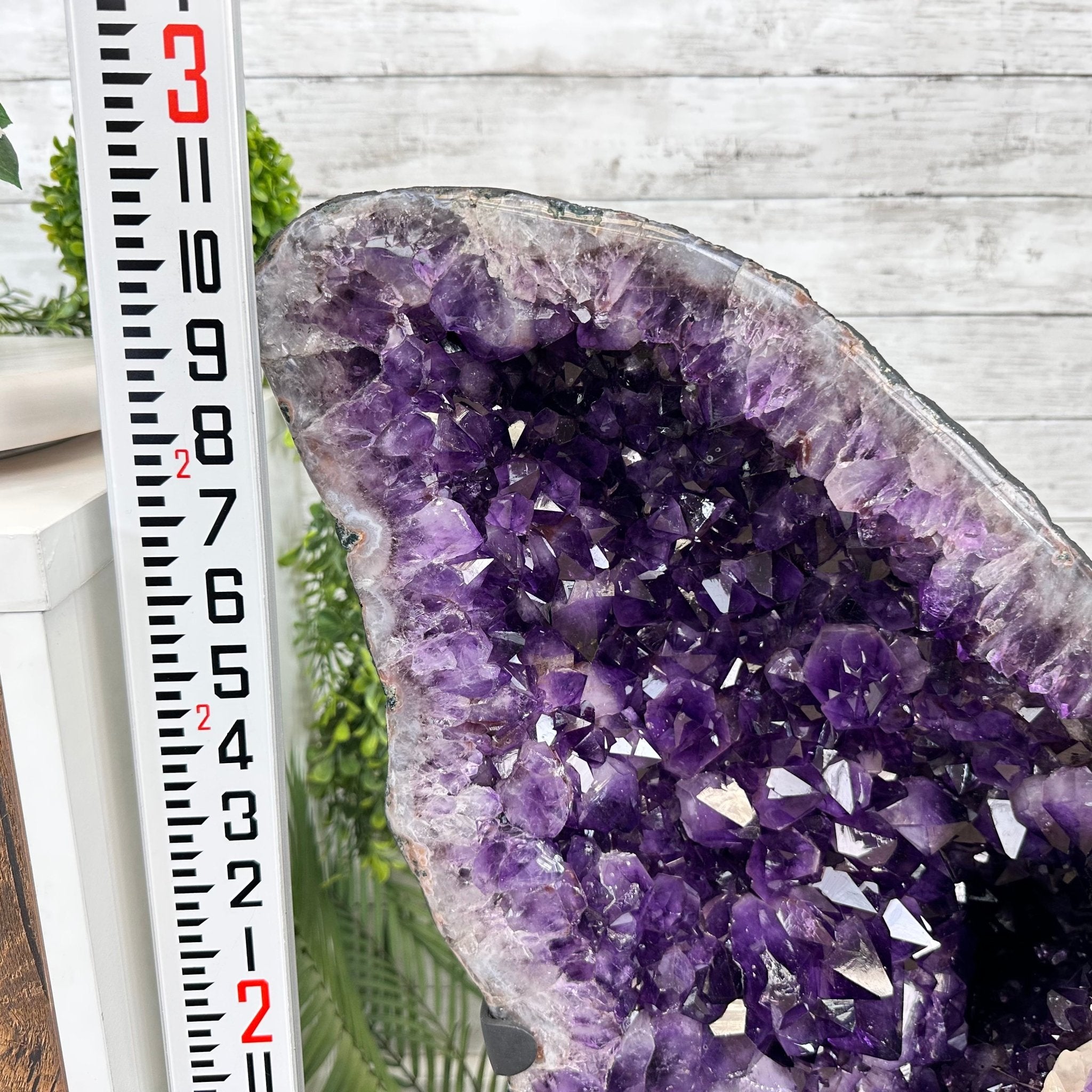 Extra Plus Quality Amethyst Wings on a Metal Stand, 174.2 lbs, 34.75" Tall #5493-0036 - Brazil GemsBrazil GemsExtra Plus Quality Amethyst Wings on a Metal Stand, 174.2 lbs, 34.75" Tall #5493-0036Amethyst Butterfly Wings5493-0036