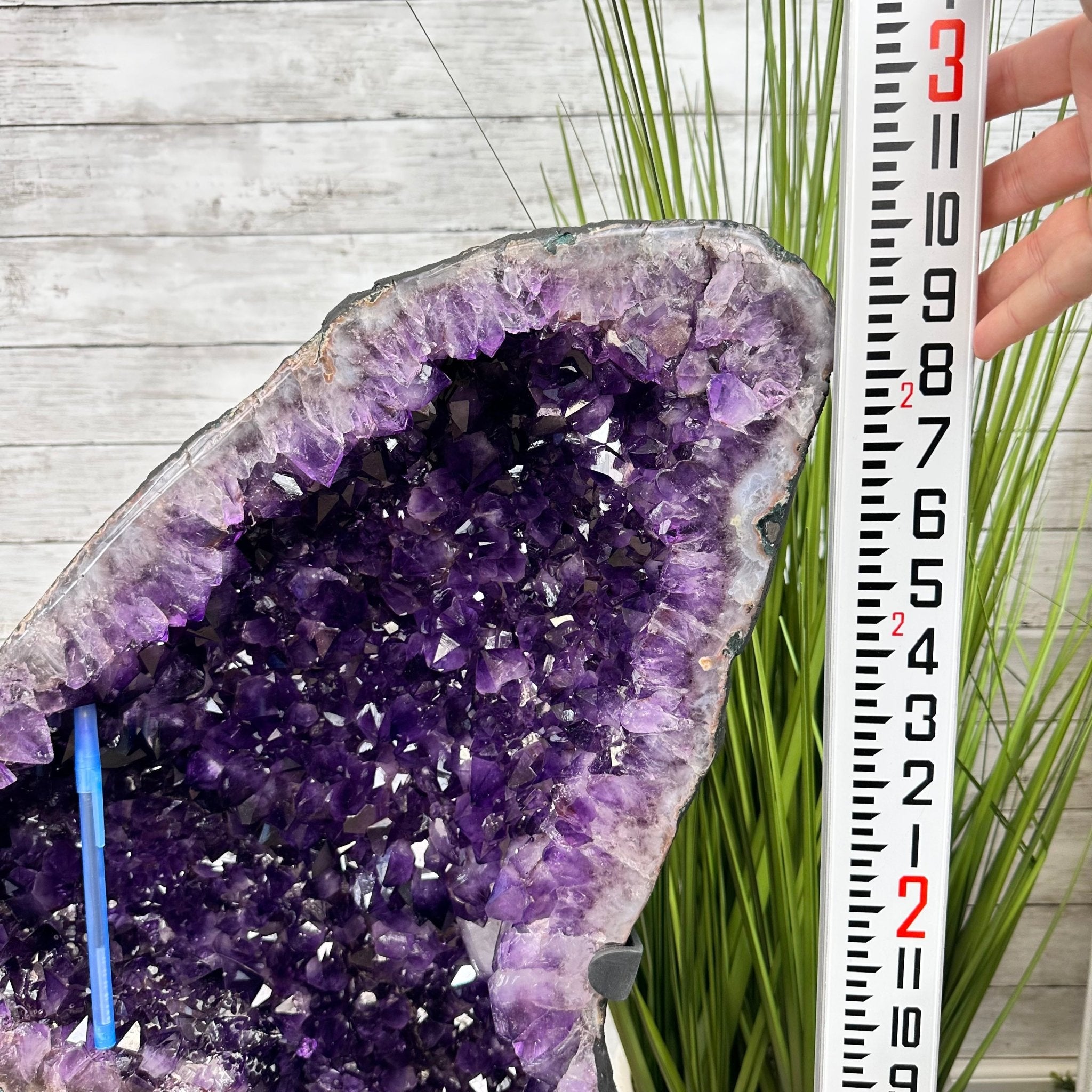 Extra Plus Quality Amethyst Wings on a Metal Stand, 174.2 lbs, 34.75" Tall #5493-0036 - Brazil GemsBrazil GemsExtra Plus Quality Amethyst Wings on a Metal Stand, 174.2 lbs, 34.75" Tall #5493-0036Amethyst Butterfly Wings5493-0036