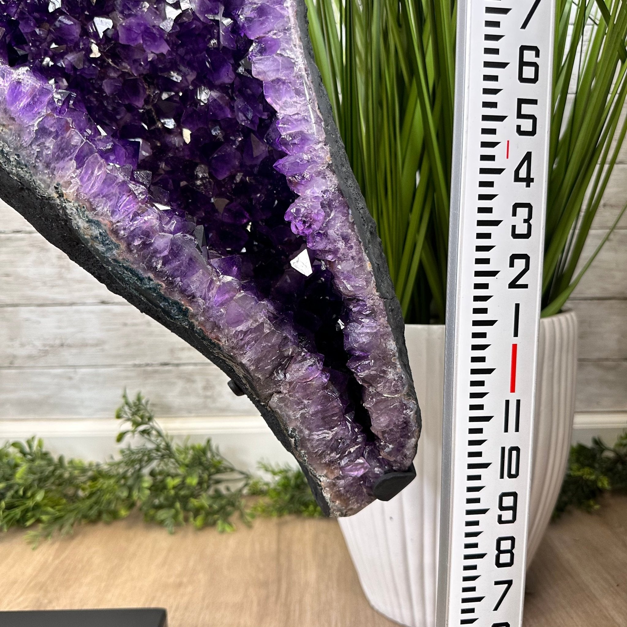 Extra Plus Quality Amethyst Wings on a Metal Stand, 174.2 lbs, 34.75" Tall #5493-0036 - Brazil GemsBrazil GemsExtra Plus Quality Amethyst Wings on a Metal Stand, 174.2 lbs, 34.75" Tall #5493-0036Amethyst Butterfly Wings5493-0036