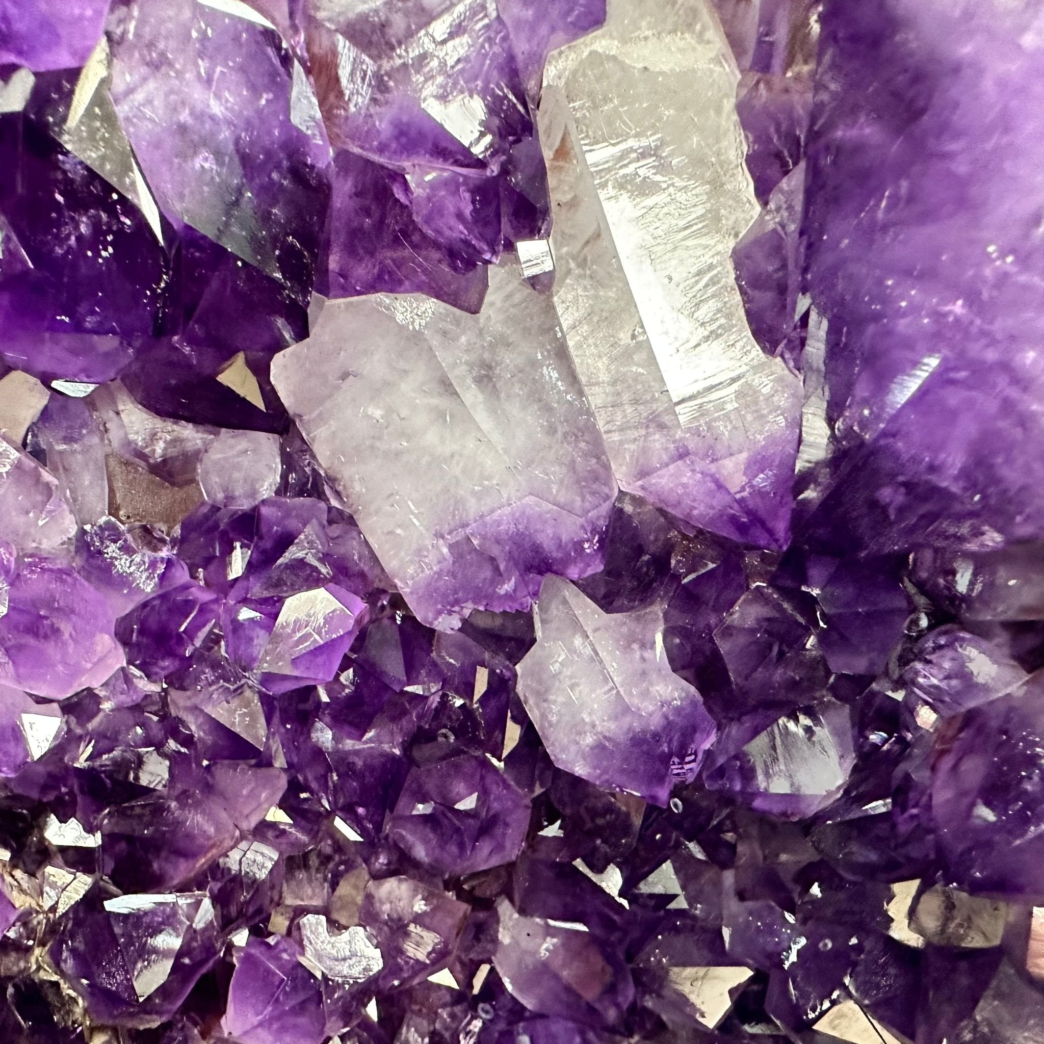 Extra Plus Quality Amethyst Wings on a Metal Stand, 174.2 lbs, 34.75" Tall #5493-0036 - Brazil GemsBrazil GemsExtra Plus Quality Amethyst Wings on a Metal Stand, 174.2 lbs, 34.75" Tall #5493-0036Amethyst Butterfly Wings5493-0036