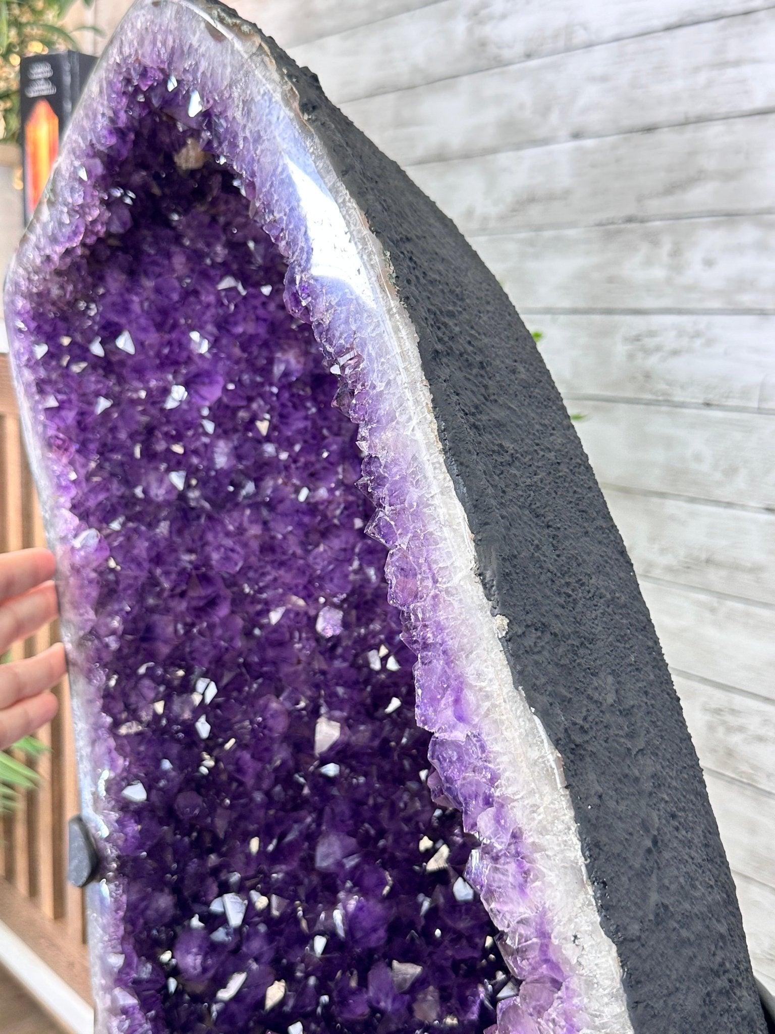 Extra Plus Quality Amethyst Wings on a Metal Stand, 178 lbs, 36" Tall #5493-0040 - Brazil GemsBrazil GemsExtra Plus Quality Amethyst Wings on a Metal Stand, 178 lbs, 36" Tall #5493-0040Amethyst Butterfly Wings5493-0040
