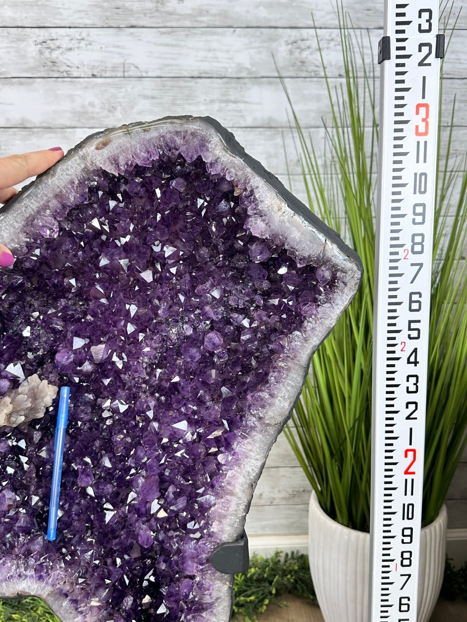Extra Plus Quality Amethyst Wings on a Metal Stand, 178 lbs, 36" Tall #5493-0040 - Brazil GemsBrazil GemsExtra Plus Quality Amethyst Wings on a Metal Stand, 178 lbs, 36" Tall #5493-0040Amethyst Butterfly Wings5493-0040