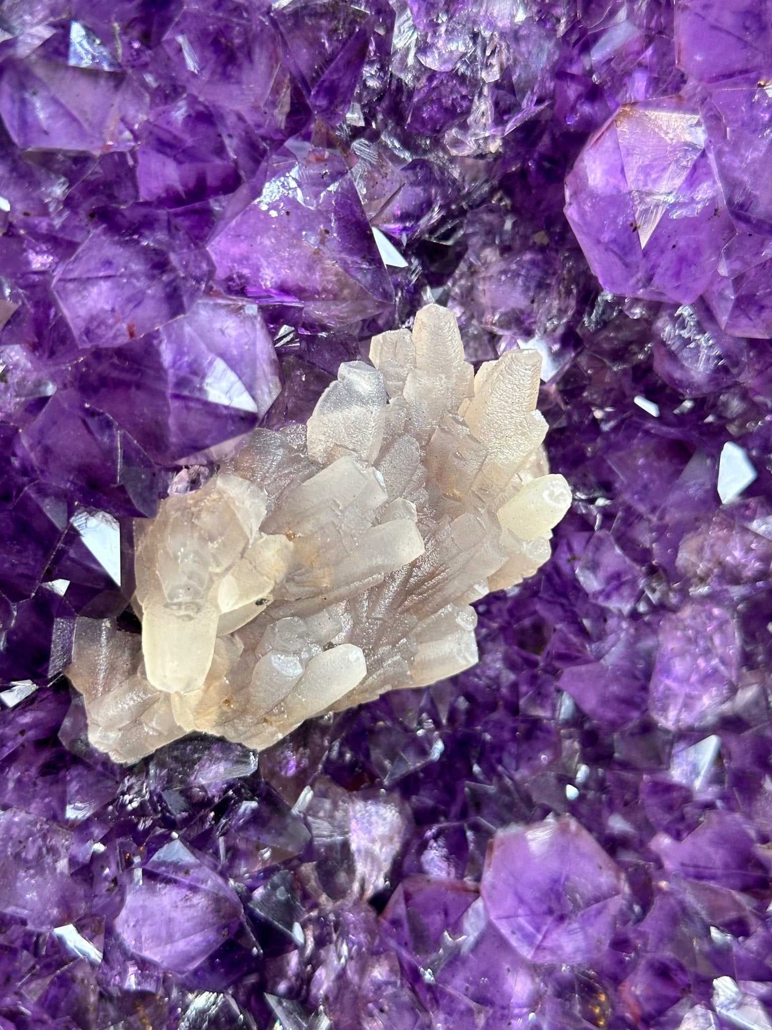 Extra Plus Quality Amethyst Wings on a Metal Stand, 178 lbs, 36" Tall #5493-0040 - Brazil GemsBrazil GemsExtra Plus Quality Amethyst Wings on a Metal Stand, 178 lbs, 36" Tall #5493-0040Amethyst Butterfly Wings5493-0040