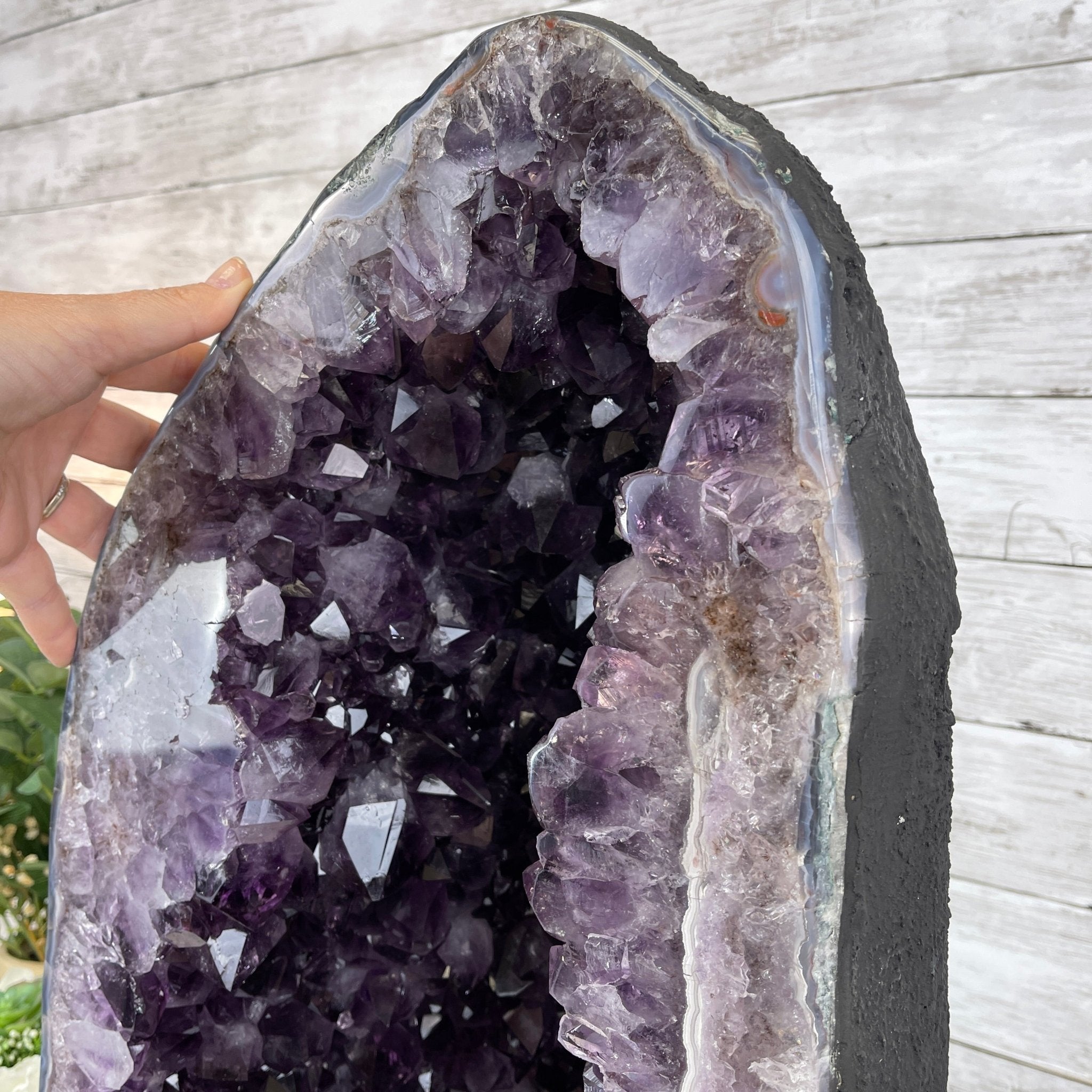 Extra Plus Quality Brazilian Amethyst Cathedral, 105.8 lbs & 23.75” tall Model #5601-0541 by Brazil Gems - Brazil GemsBrazil GemsExtra Plus Quality Brazilian Amethyst Cathedral, 105.8 lbs & 23.75” tall Model #5601-0541 by Brazil GemsCathedrals5601-0541