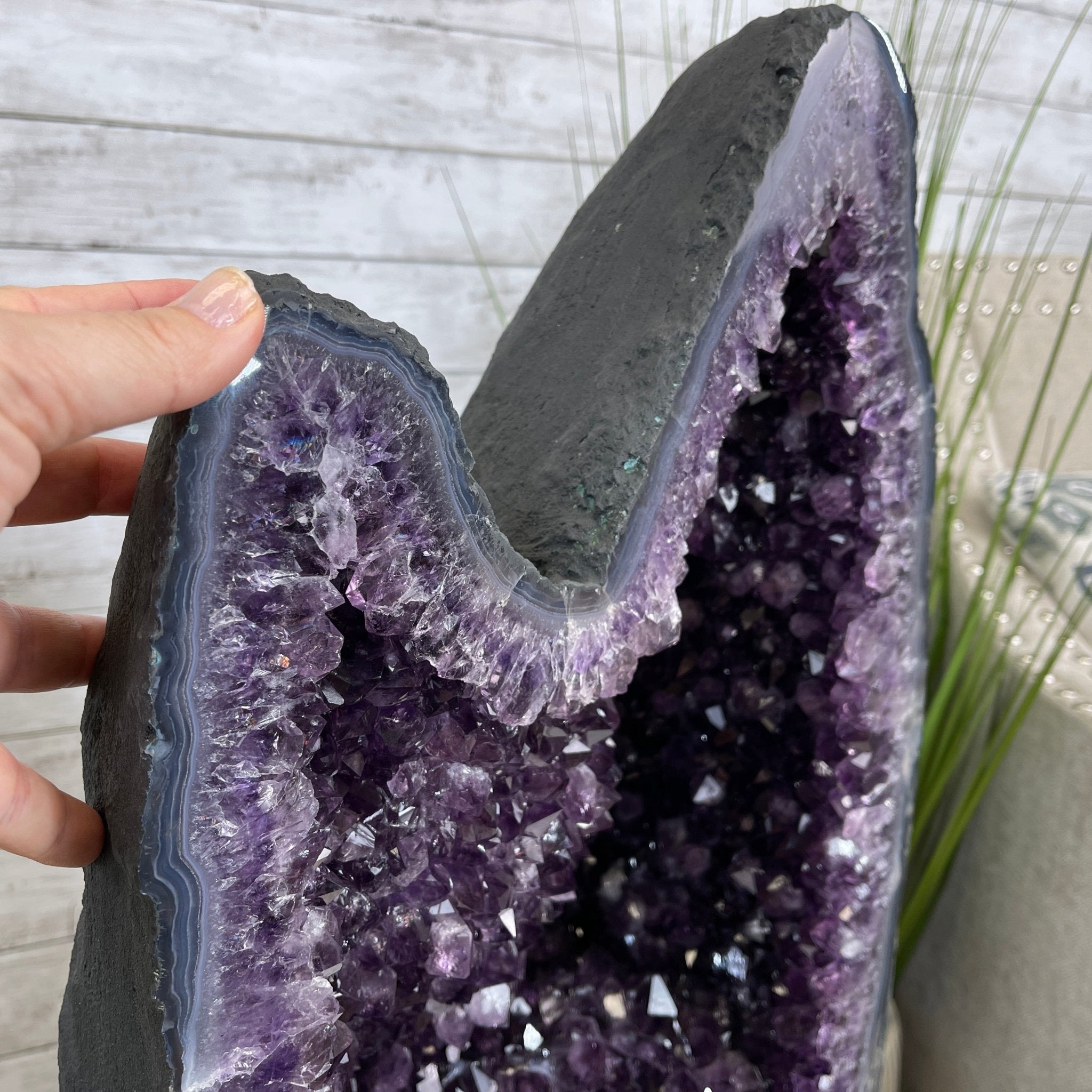 Extra Plus Quality Brazilian Amethyst Cathedral, 108.9 lbs & 20.75” tall #5601-0591 by Brazil Gems - Brazil GemsBrazil GemsExtra Plus Quality Brazilian Amethyst Cathedral, 108.9 lbs & 20.75” tall #5601-0591 by Brazil GemsCathedrals5601-0591