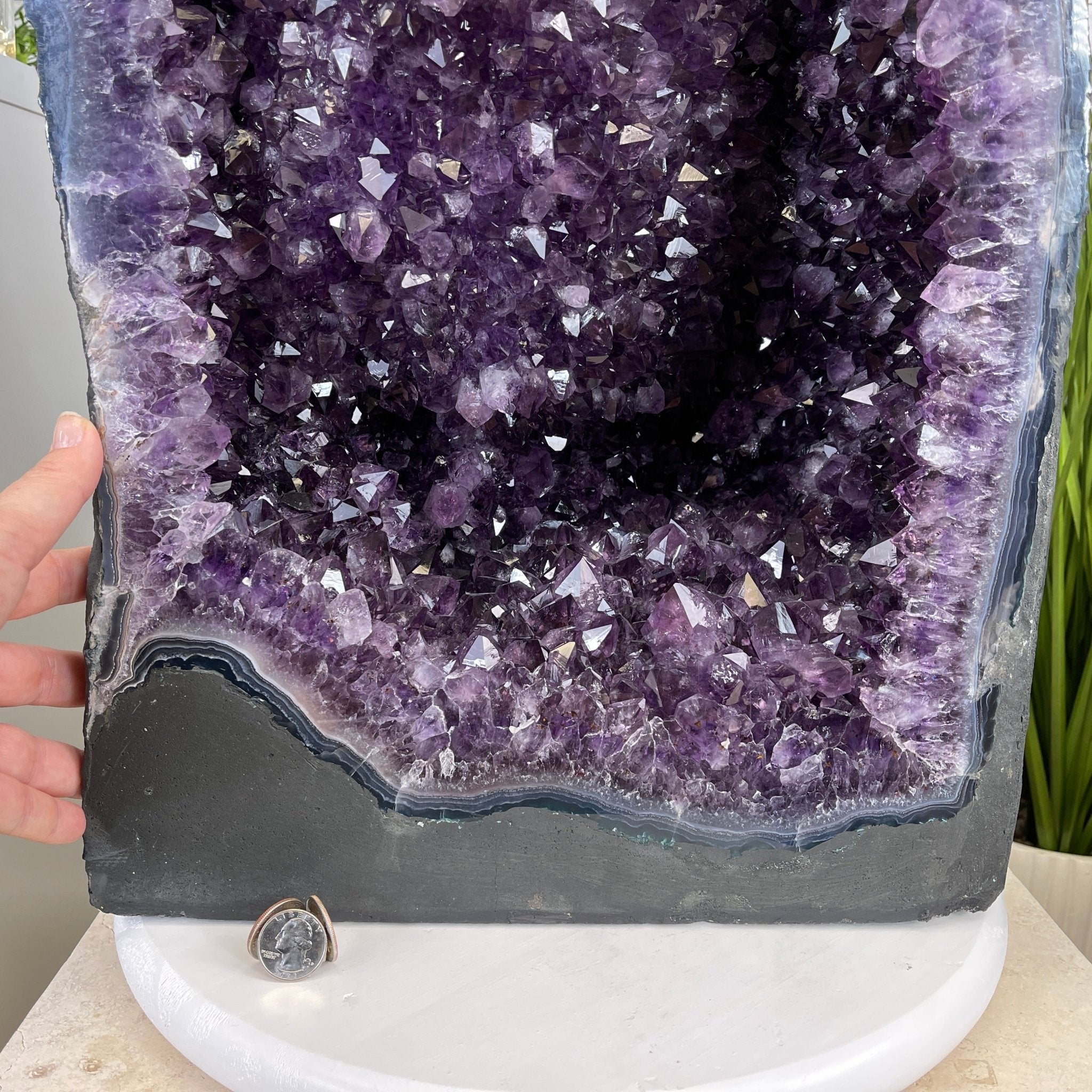 Extra Plus Quality Brazilian Amethyst Cathedral, 108.9 lbs & 20.75” tall #5601-0591 by Brazil Gems - Brazil GemsBrazil GemsExtra Plus Quality Brazilian Amethyst Cathedral, 108.9 lbs & 20.75” tall #5601-0591 by Brazil GemsCathedrals5601-0591