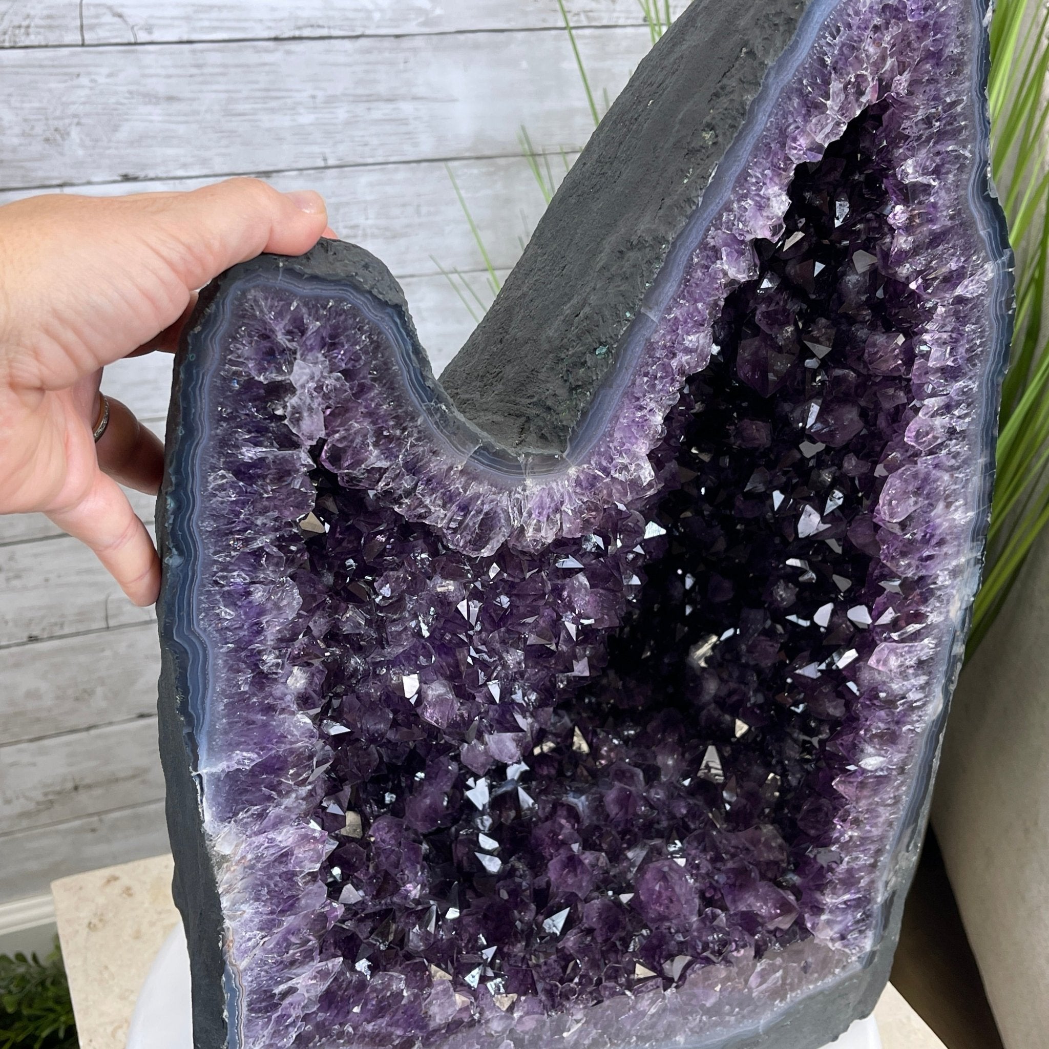 Extra Plus Quality Brazilian Amethyst Cathedral, 108.9 lbs & 20.75” tall #5601-0591 by Brazil Gems - Brazil GemsBrazil GemsExtra Plus Quality Brazilian Amethyst Cathedral, 108.9 lbs & 20.75” tall #5601-0591 by Brazil GemsCathedrals5601-0591
